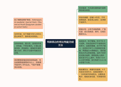 鸭脚黄边的用法用量|功能主治