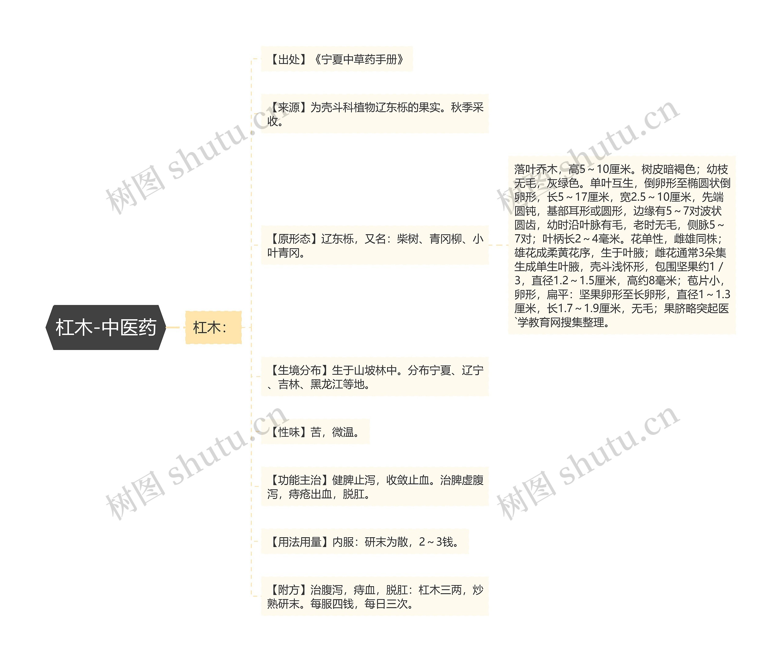 杠木-中医药思维导图