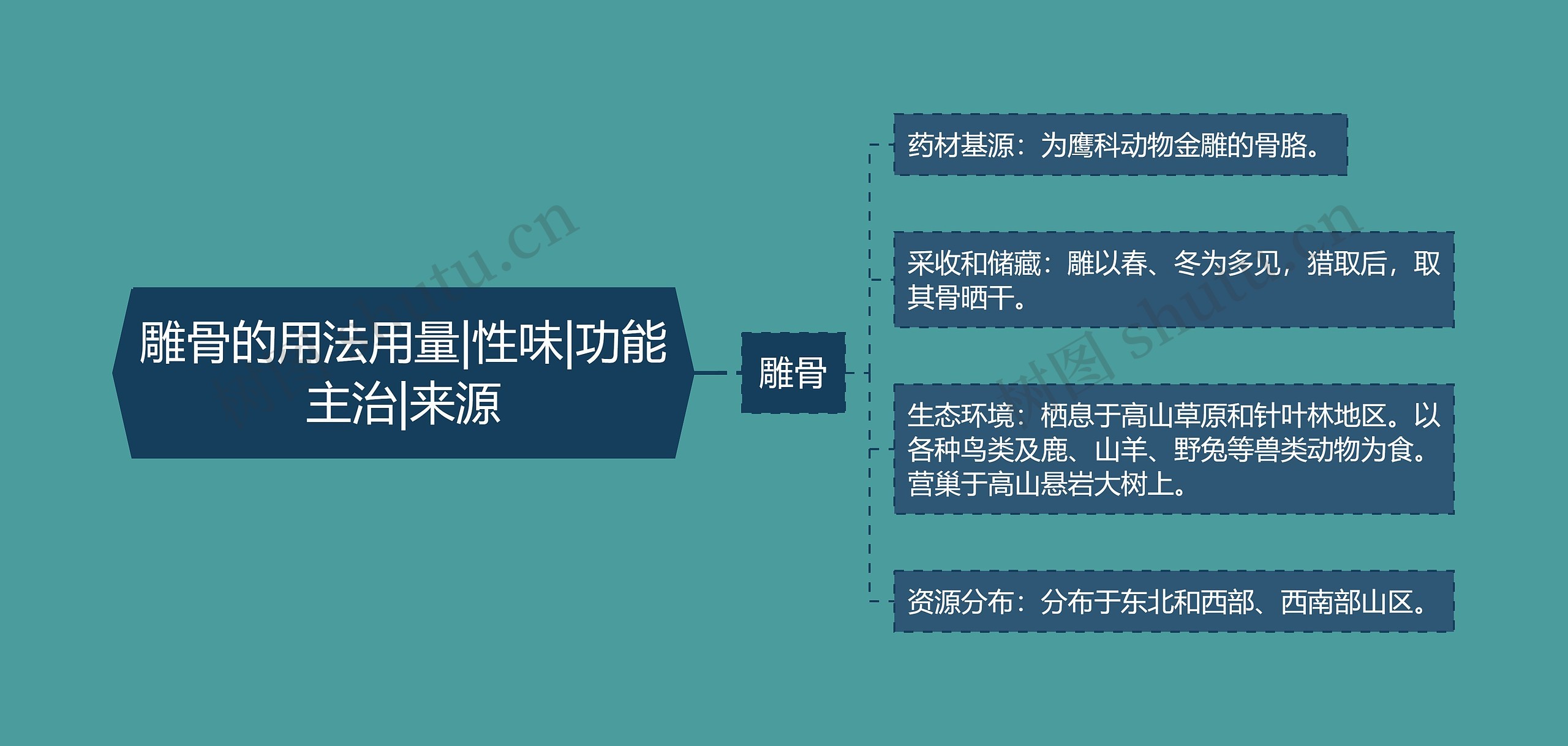 雕骨的用法用量|性味|功能主治|来源