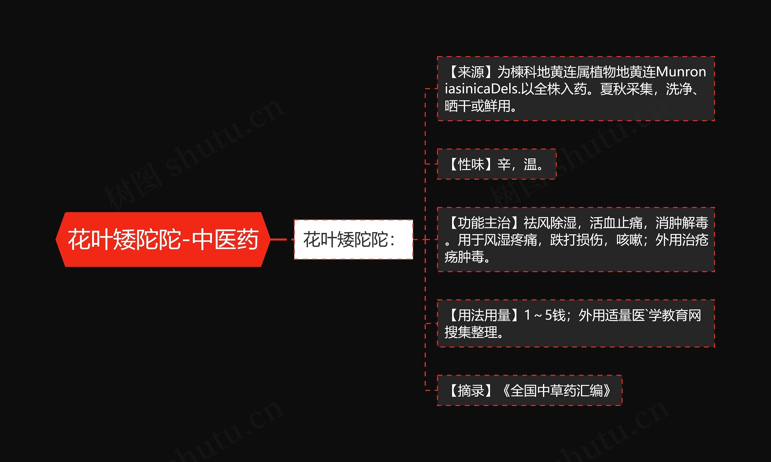 花叶矮陀陀-中医药 花叶矮陀陀-中医药