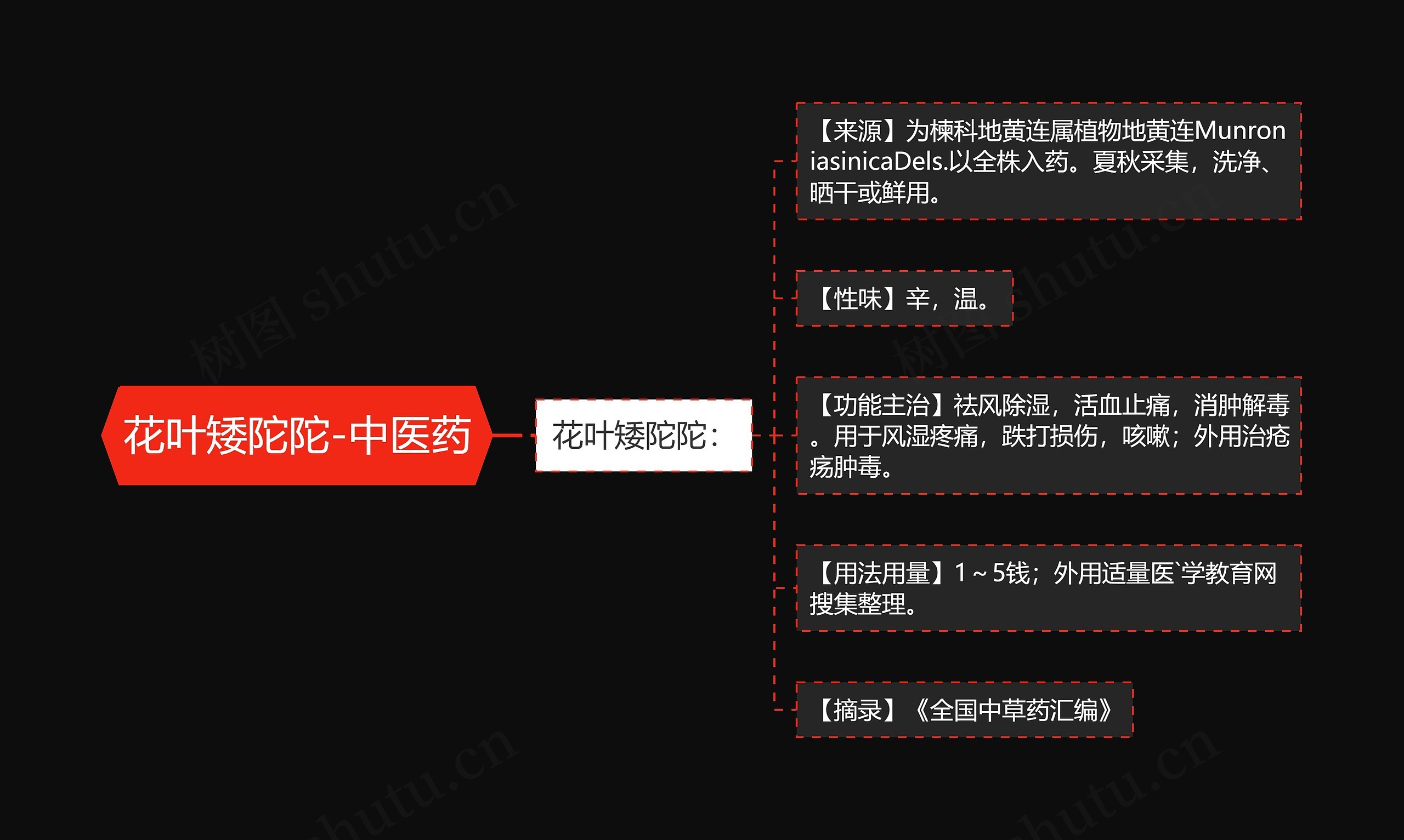 花叶矮陀陀-中医药思维导图