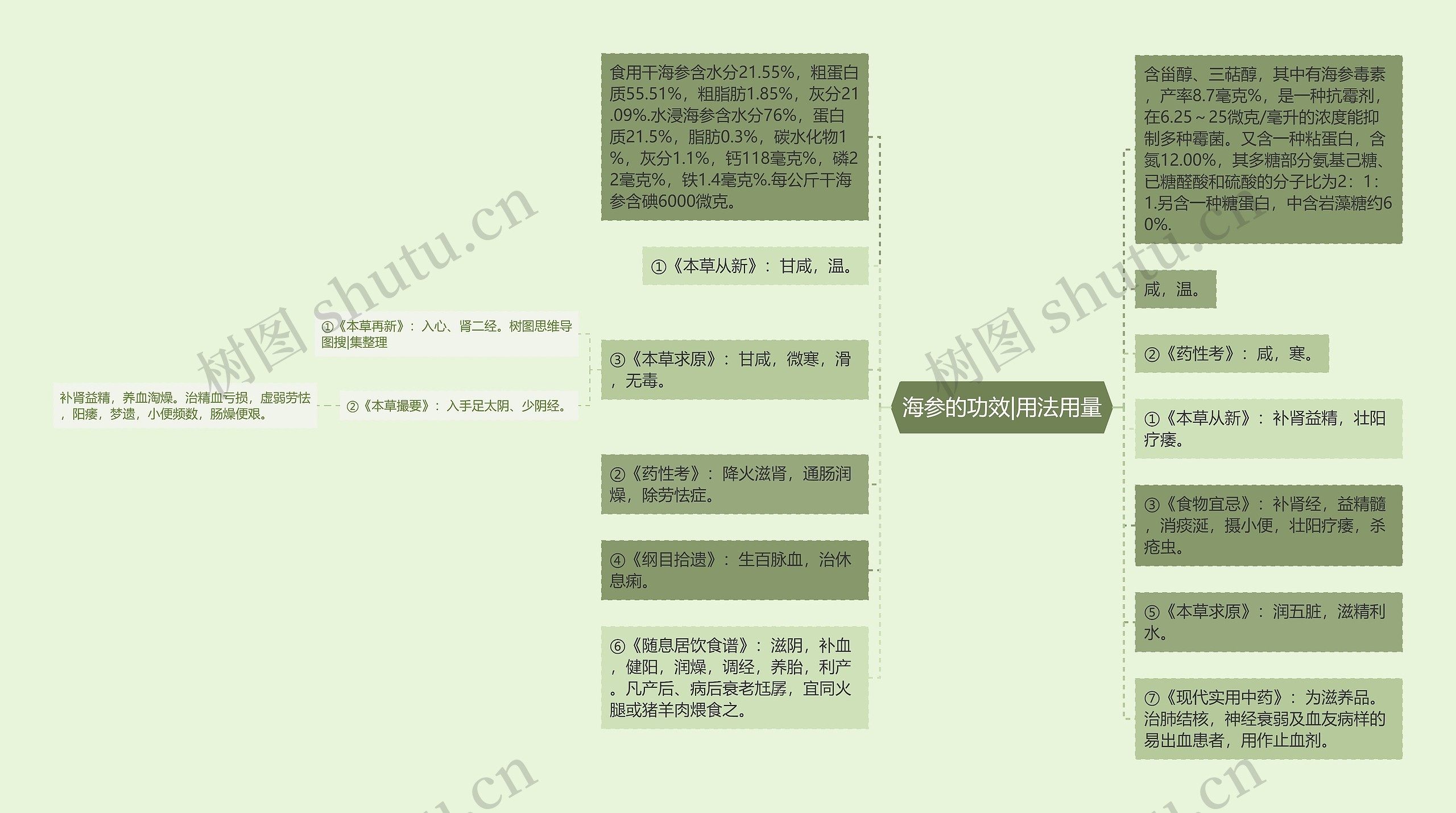 海参的功效|用法用量思维导图