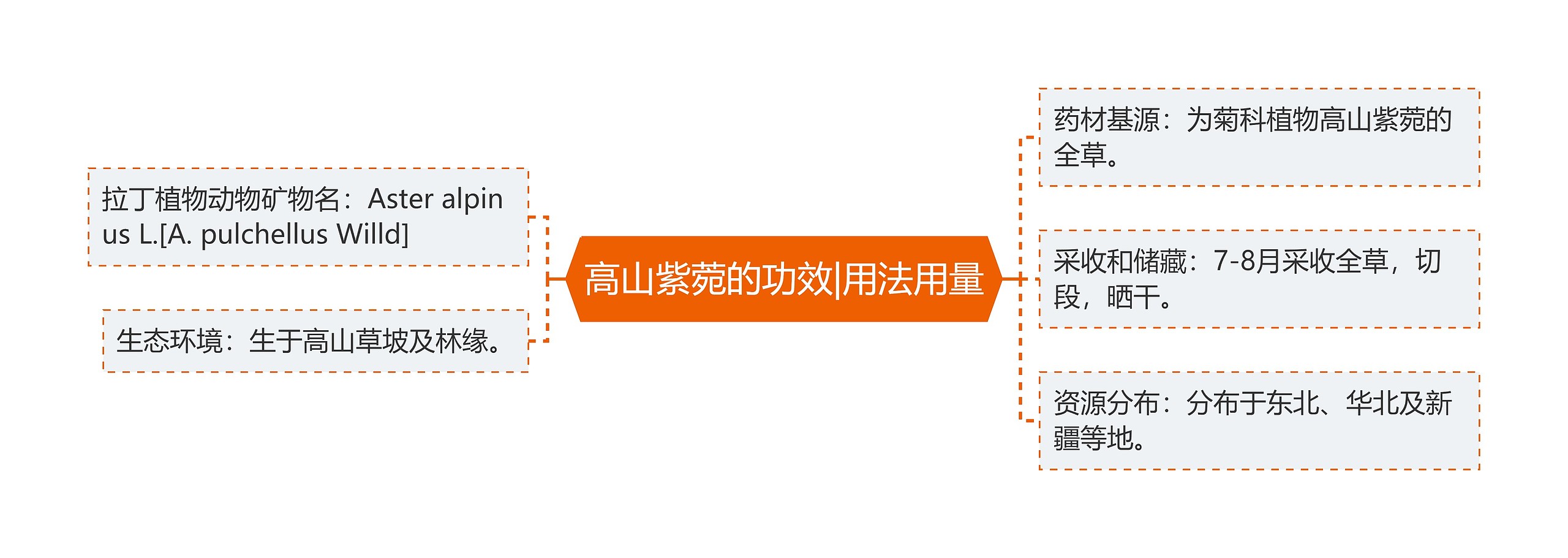 高山紫菀的功效|用法用量 高山紫菀的功效|用法用量