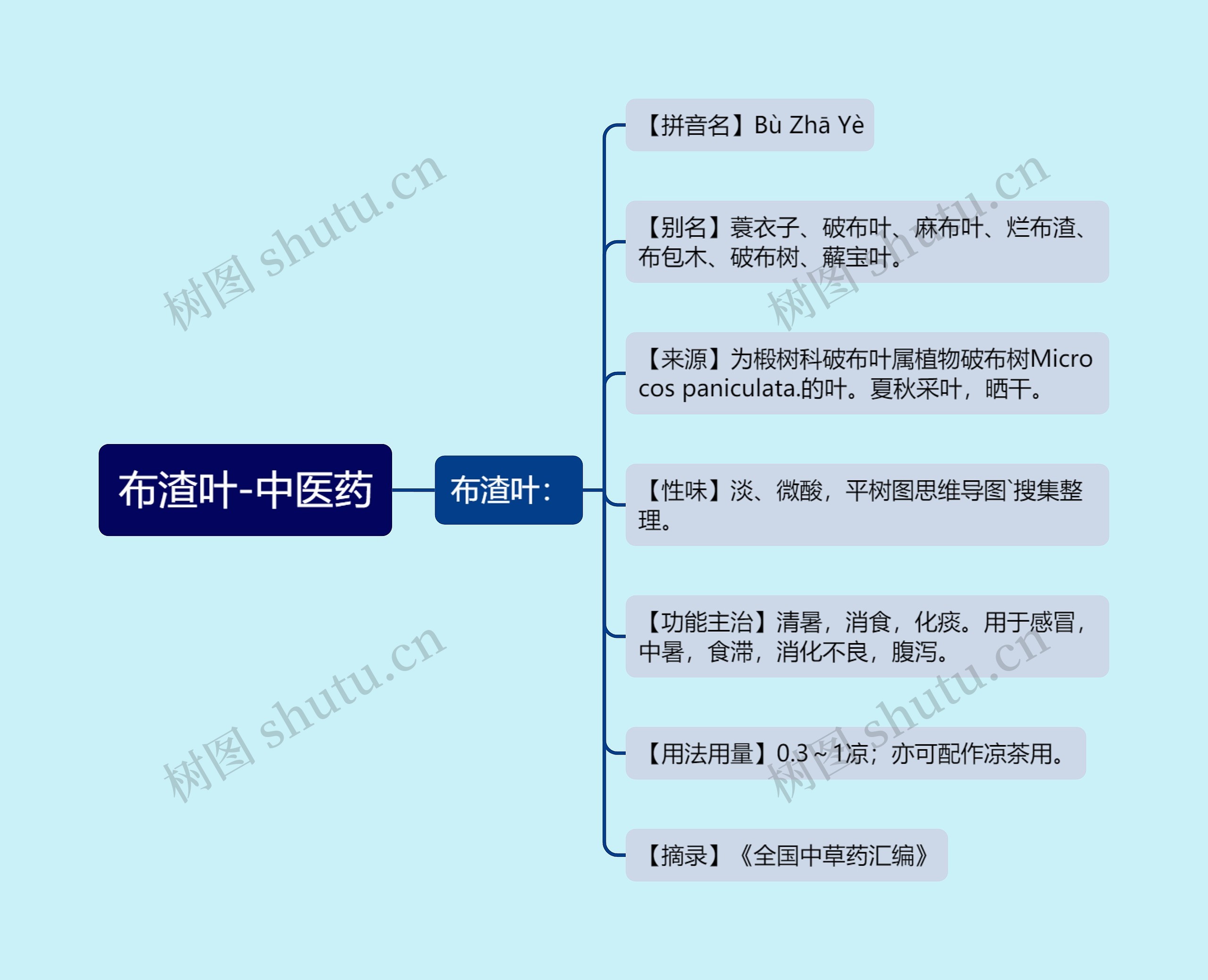 布渣叶-中医药 布渣叶-中医药