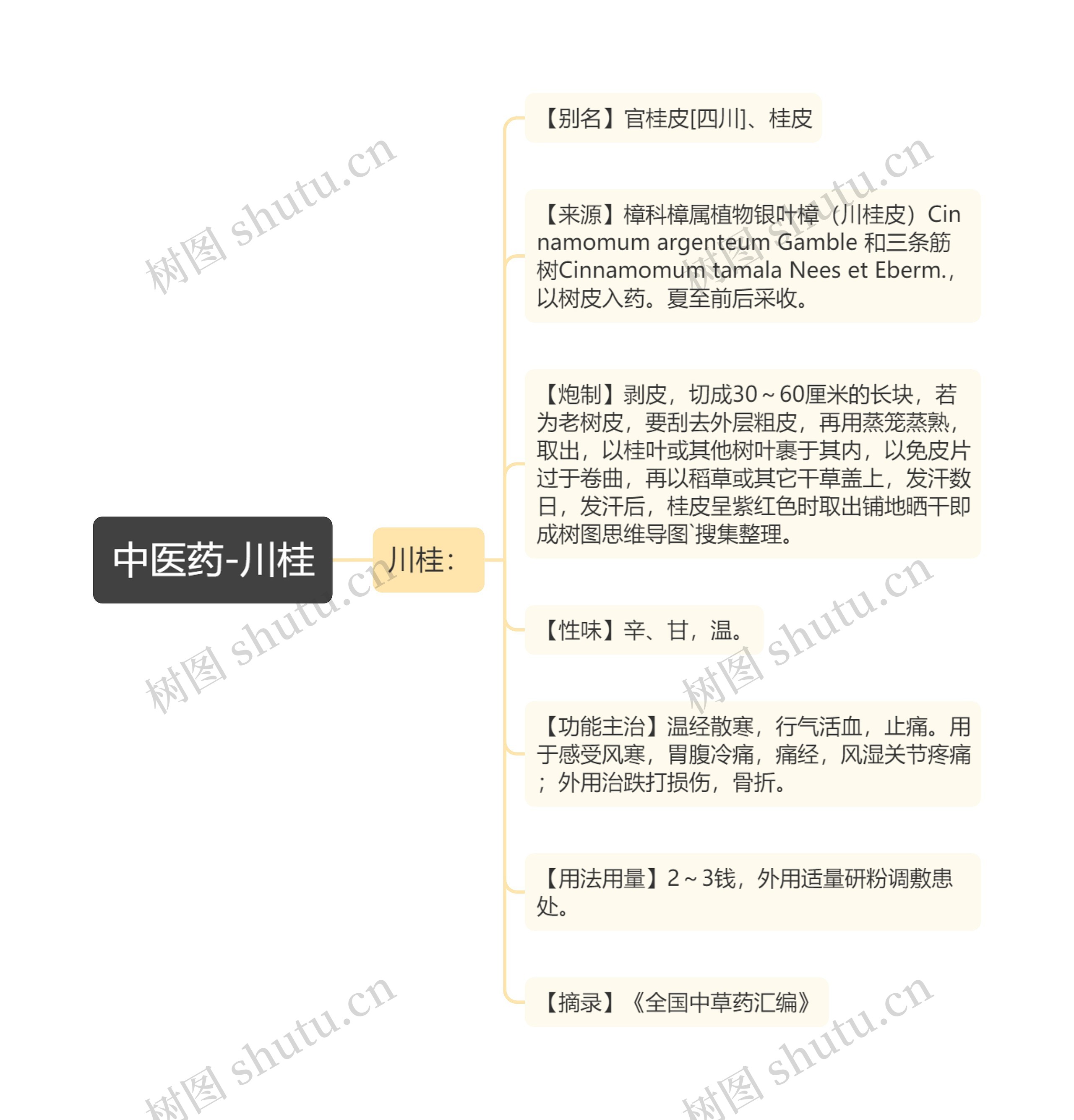 中医药-川桂思维导图