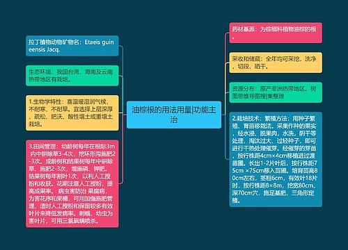 油棕根的用法用量|功能主治