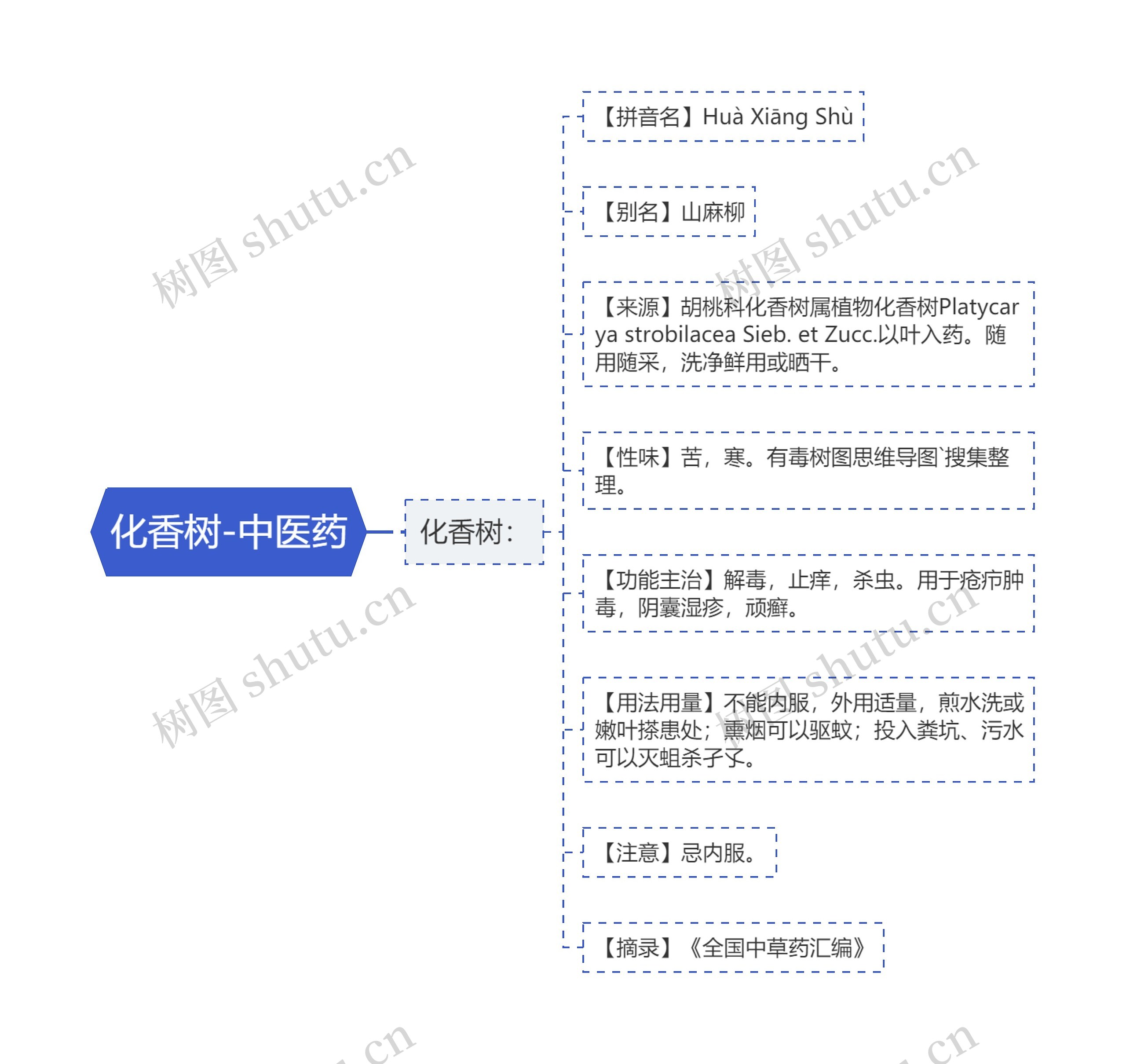 化香树-中医药 化香树-中医药