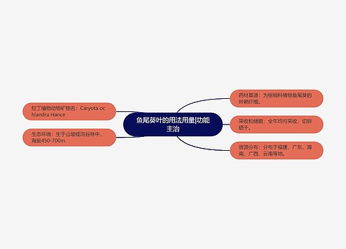鱼尾葵叶的用法用量|功能主治