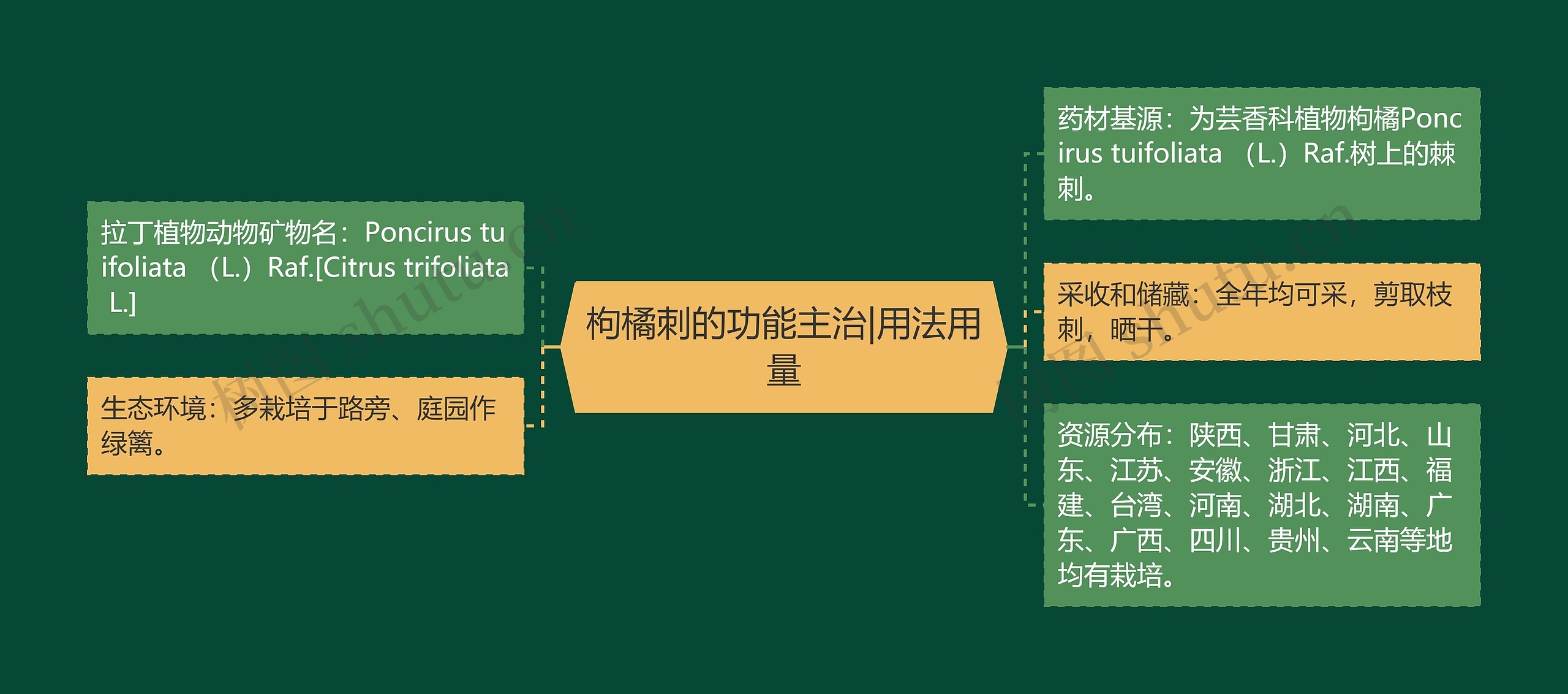 枸橘刺的功能主治|用法用量思维导图