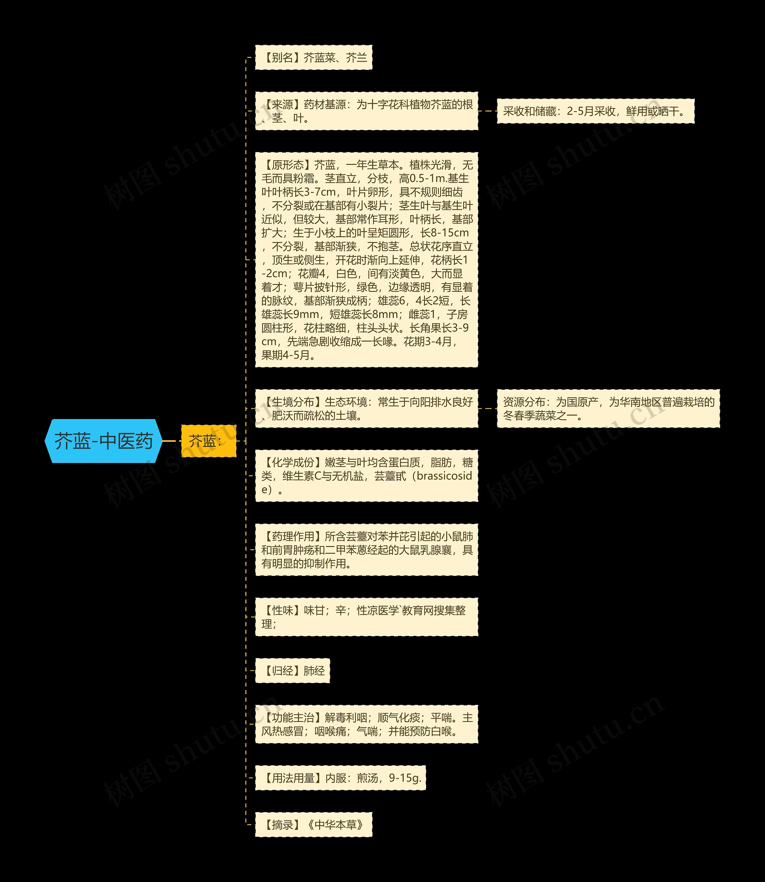 芥蓝-中医药思维导图