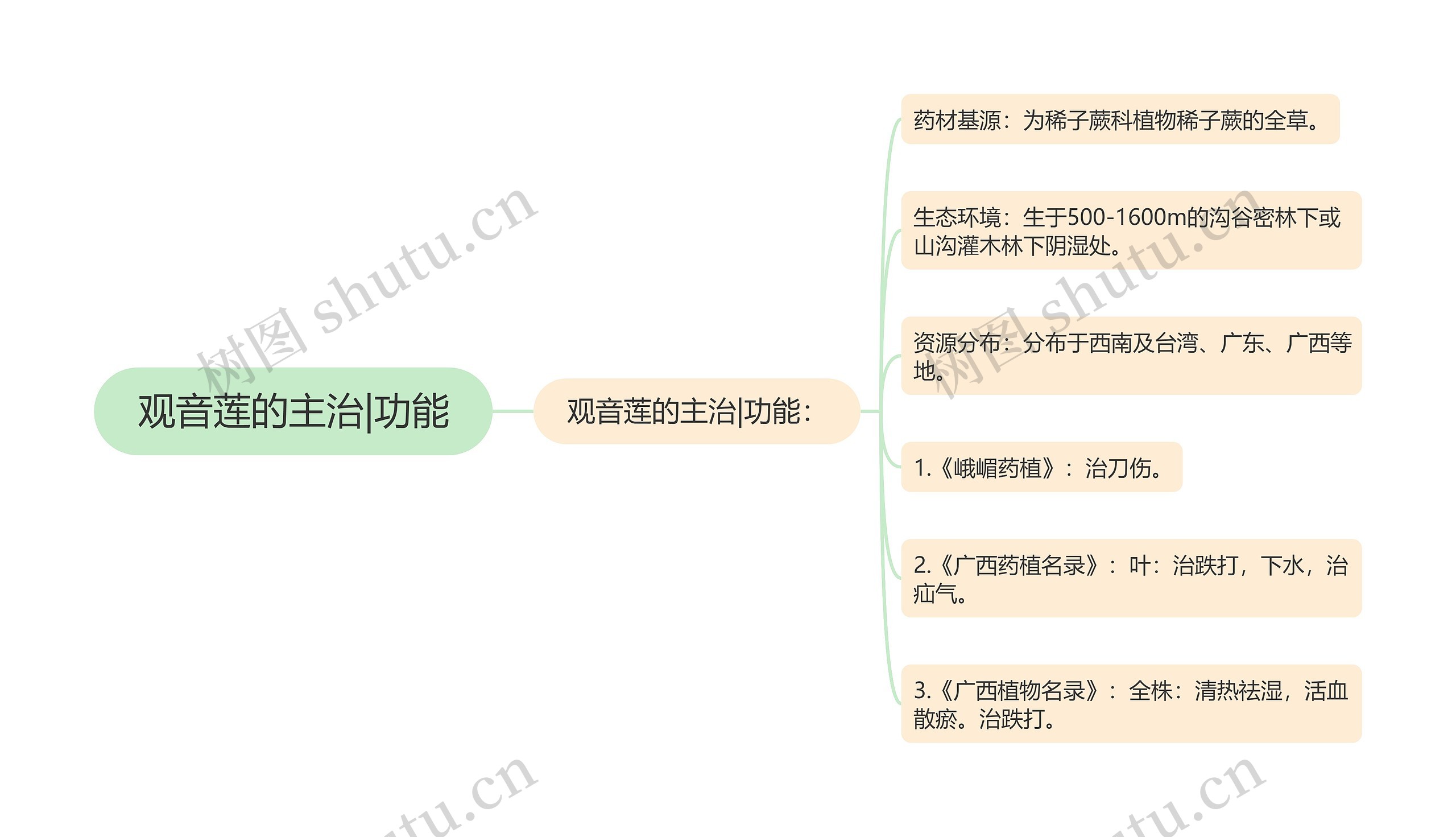 观音莲的主治|功能思维导图