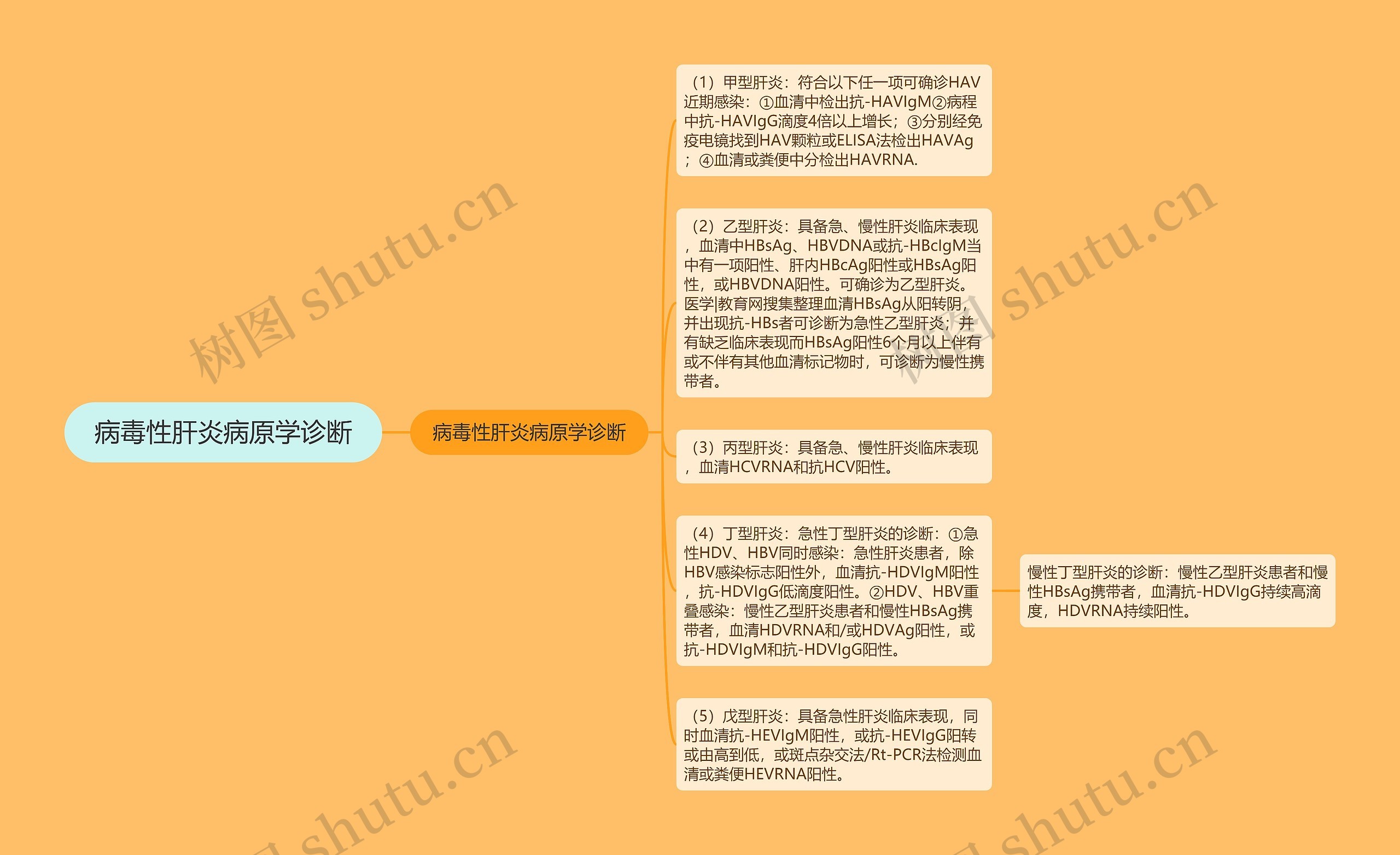 病毒性肝炎病原学诊断 病毒性肝炎病原学诊断