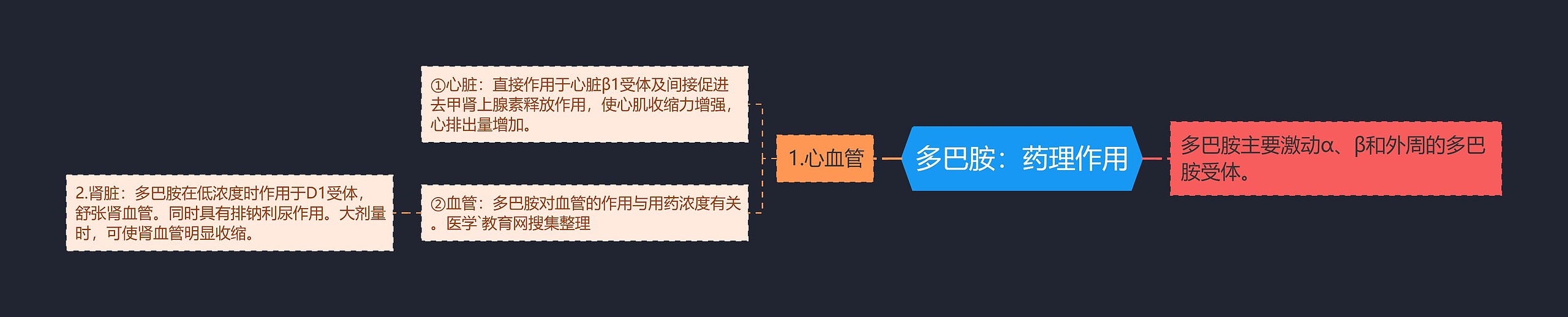 多巴胺：药理作用思维导图