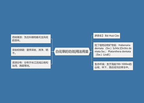 白花草的功效|用法用量