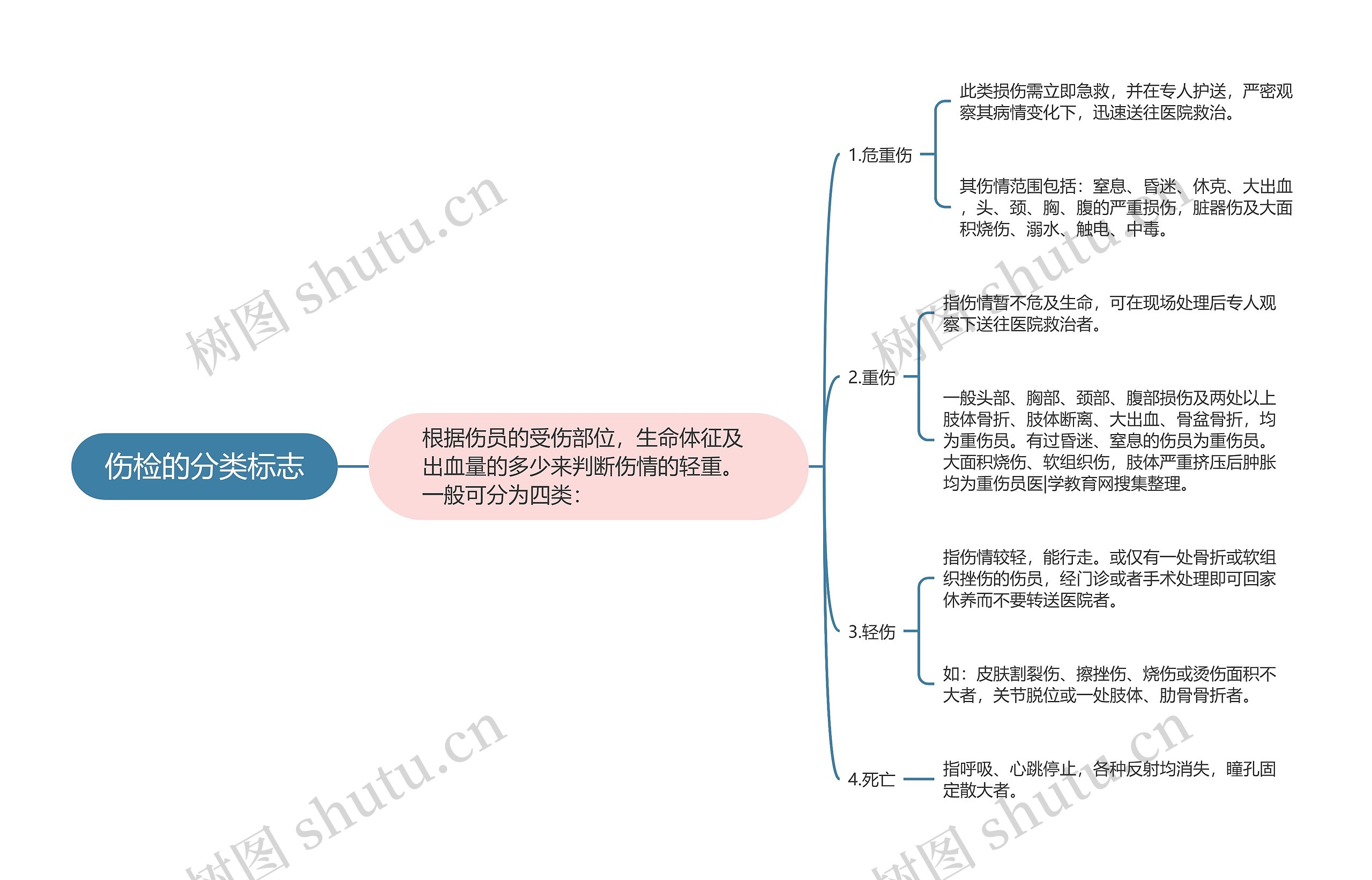 伤检的分类标志思维导图