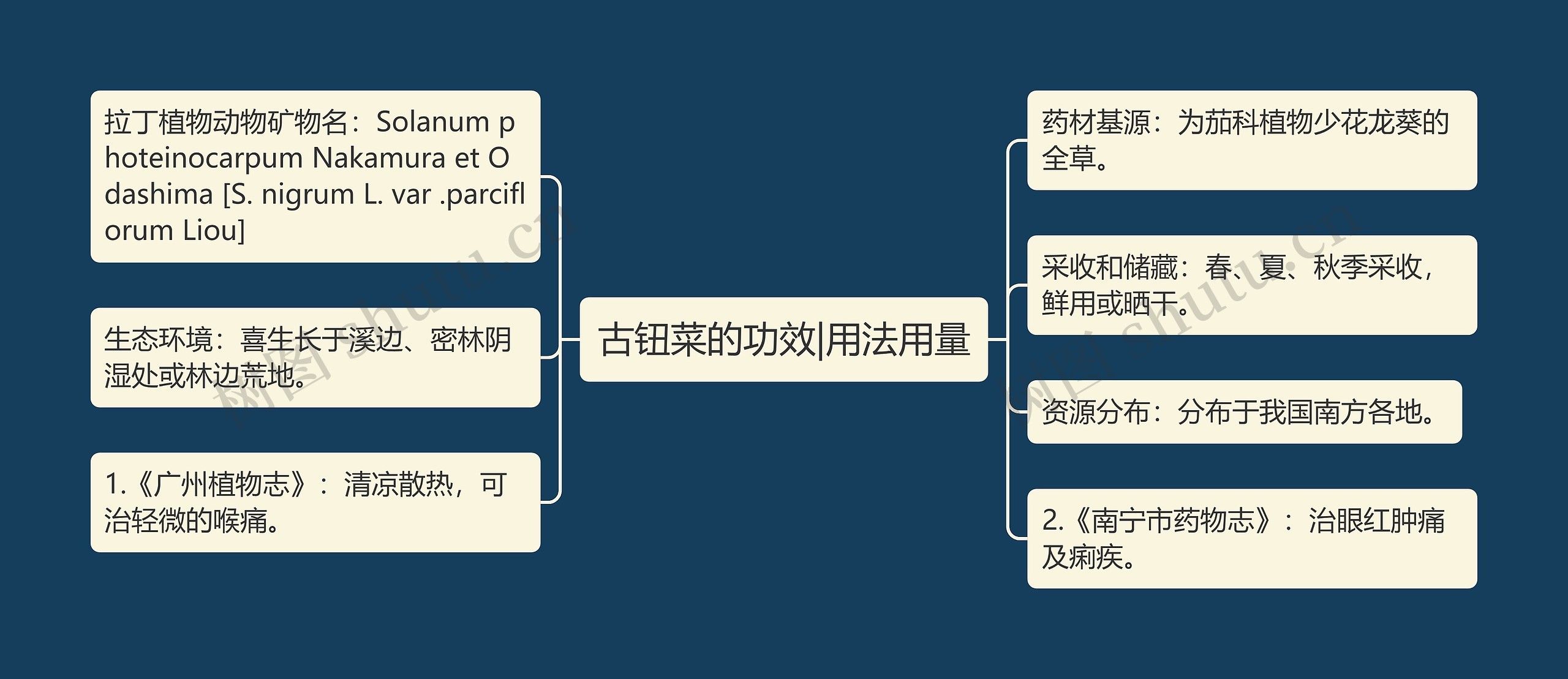 古钮菜的功效|用法用量思维导图