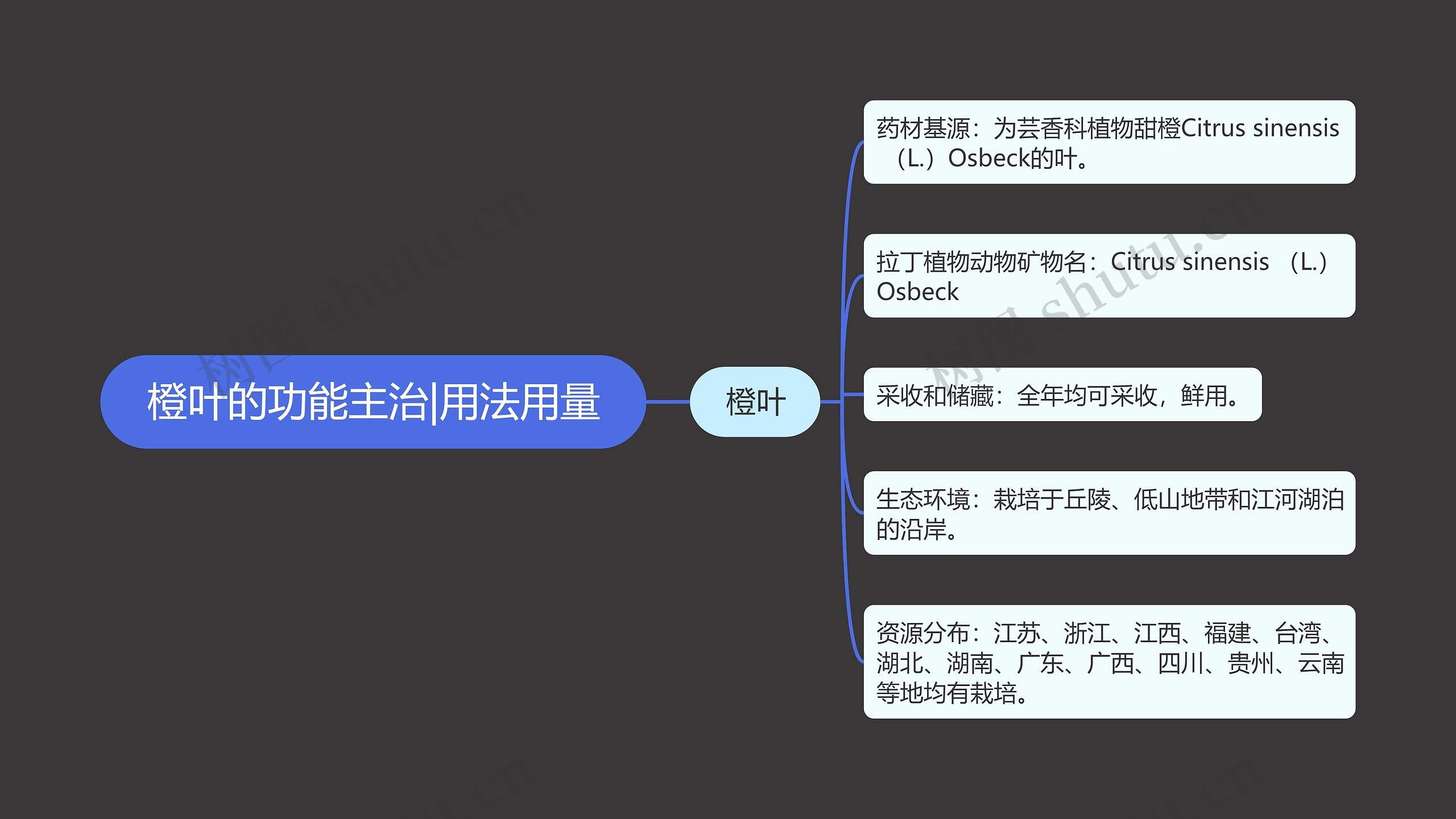 橙叶的功能主治|用法用量