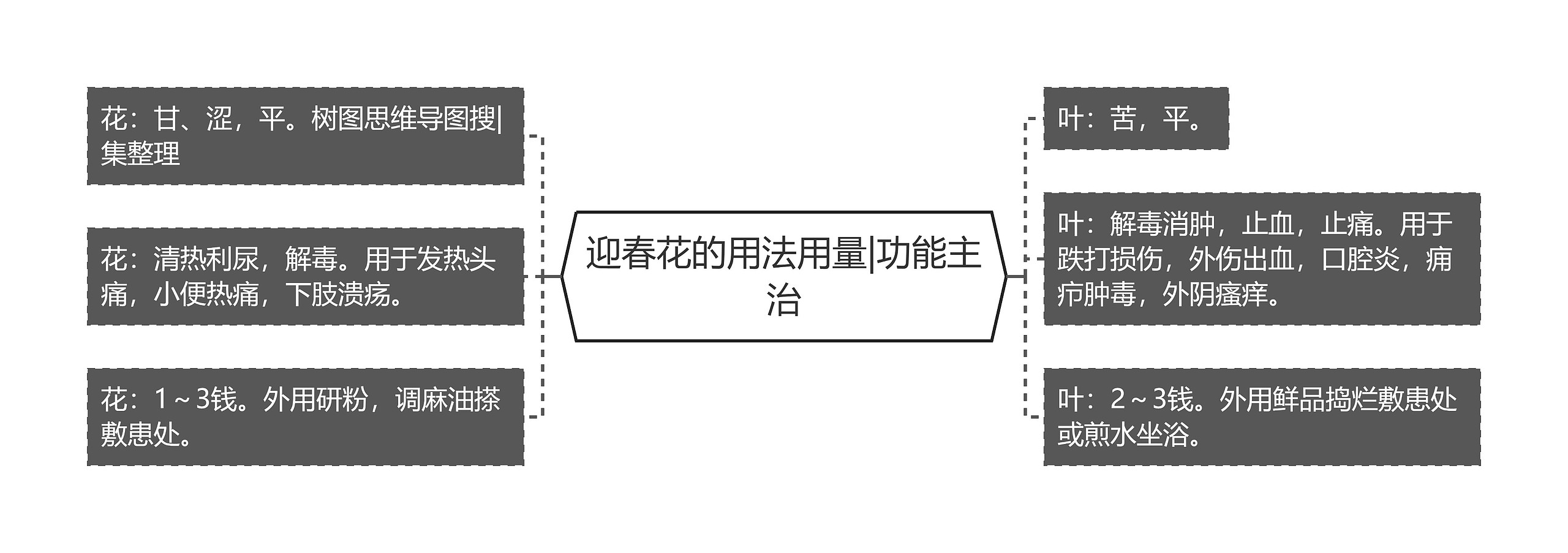 迎春花的用法用量|功能主治