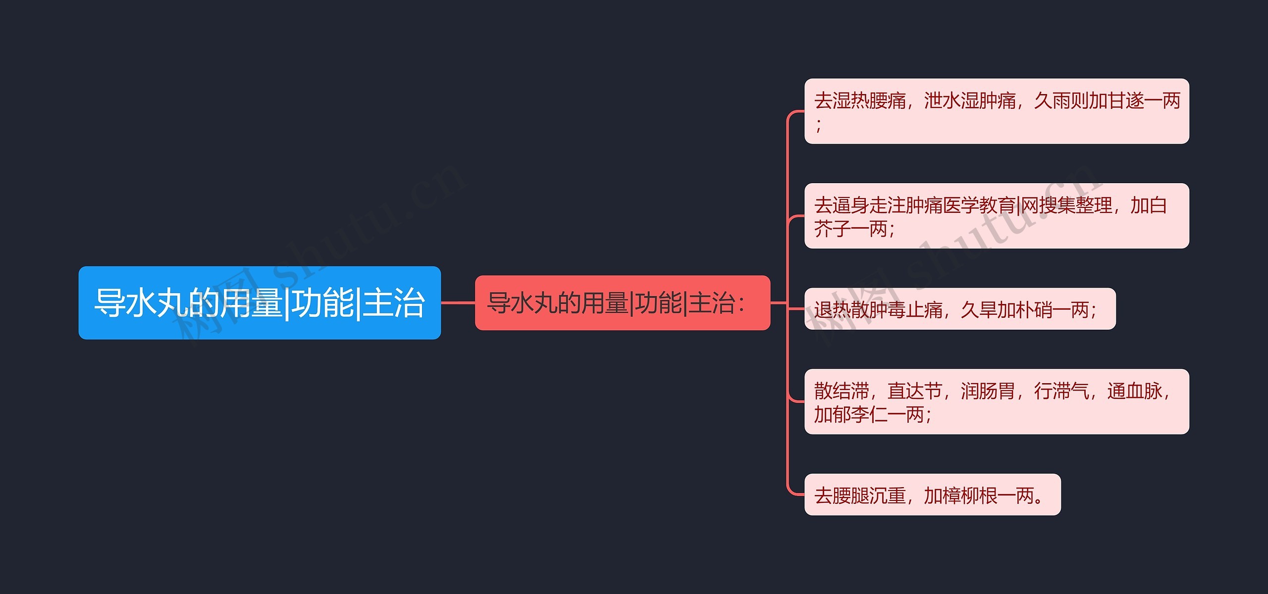 导水丸的用量|功能|主治思维导图