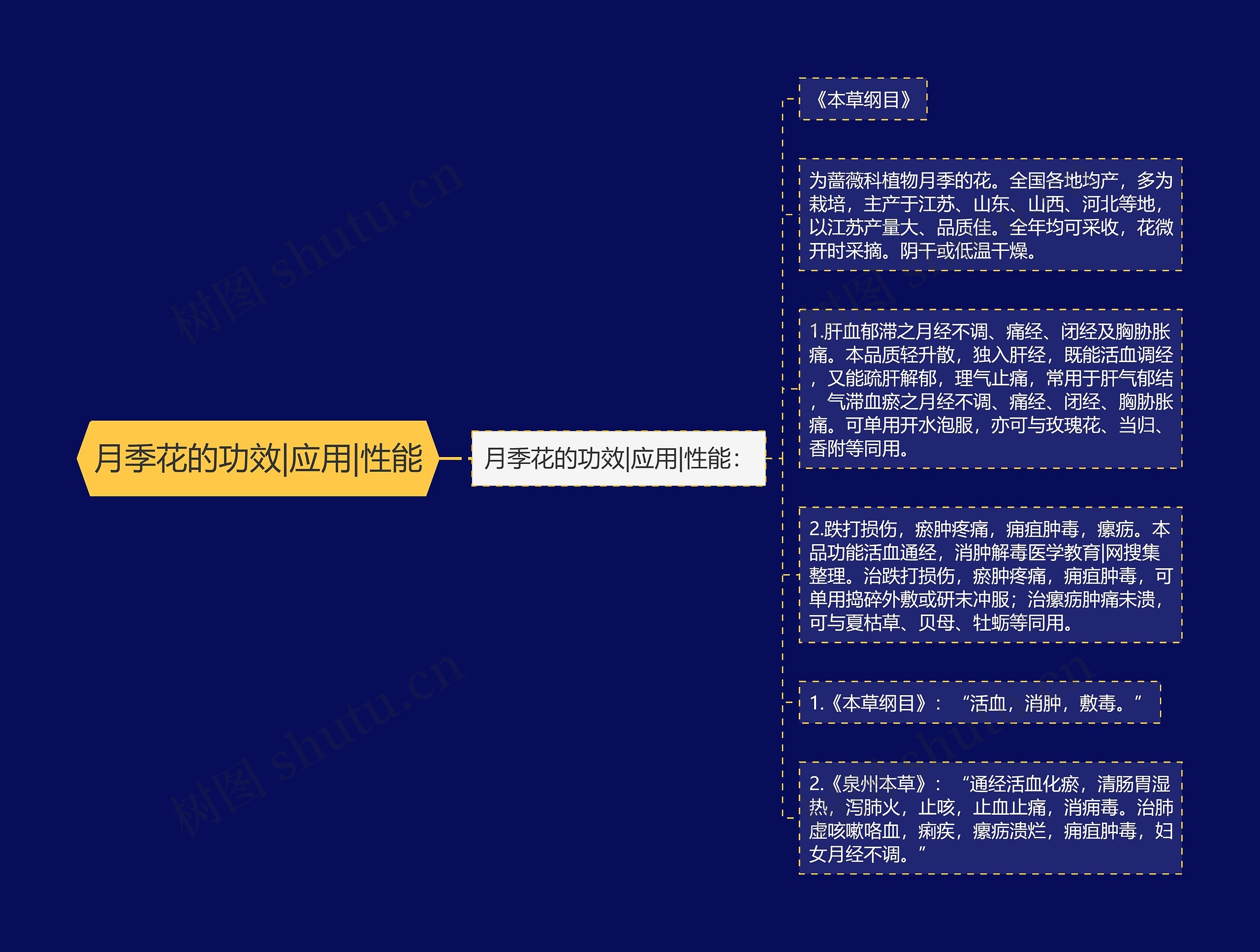 月季花的功效|应用|性能思维导图