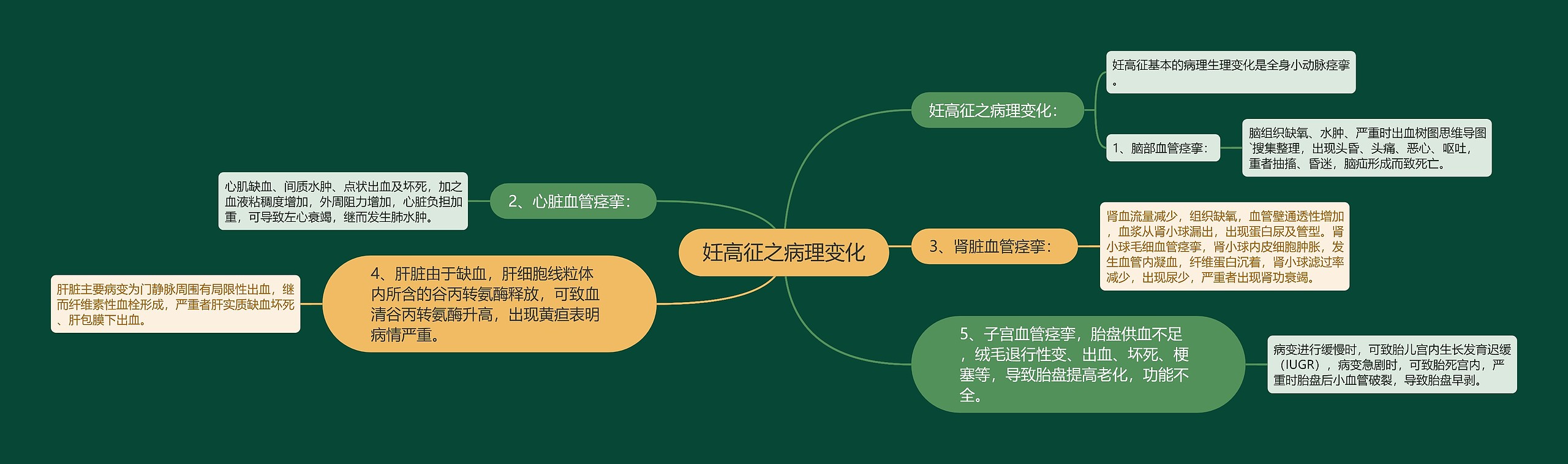 妊高征之病理变化思维导图