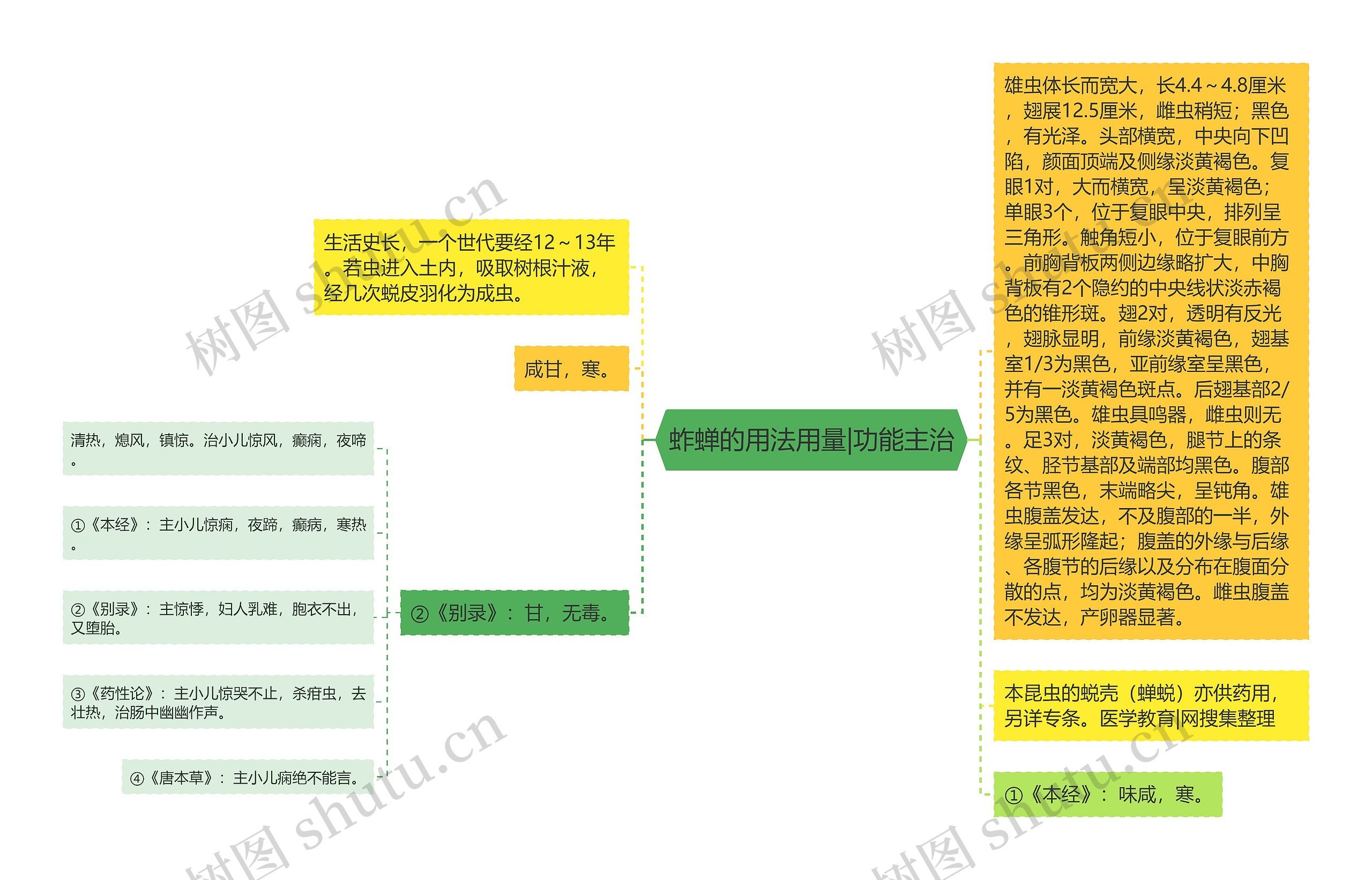 蚱蝉的用法用量|功能主治思维导图