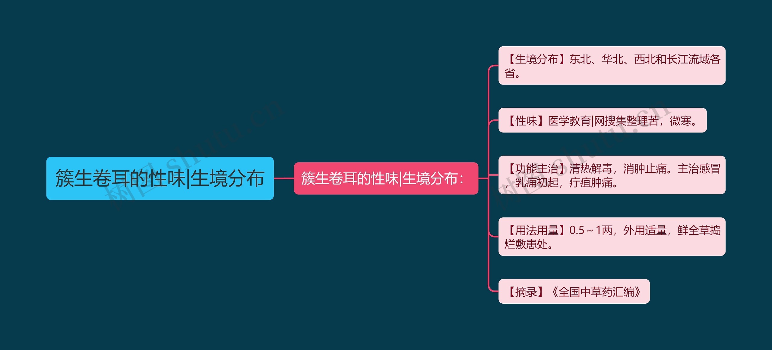 簇生卷耳的性味|生境分布