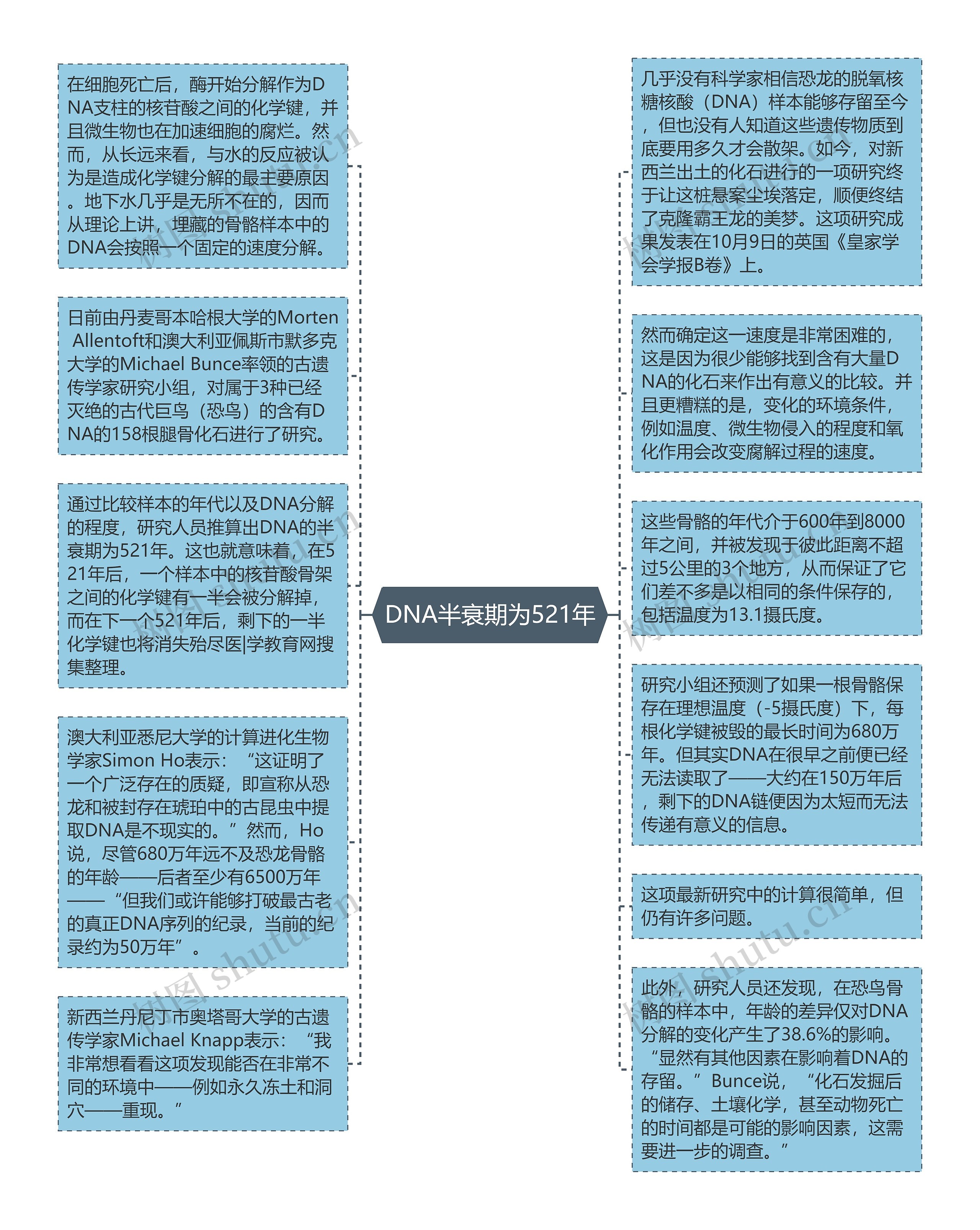 DNA半衰期为521年思维导图