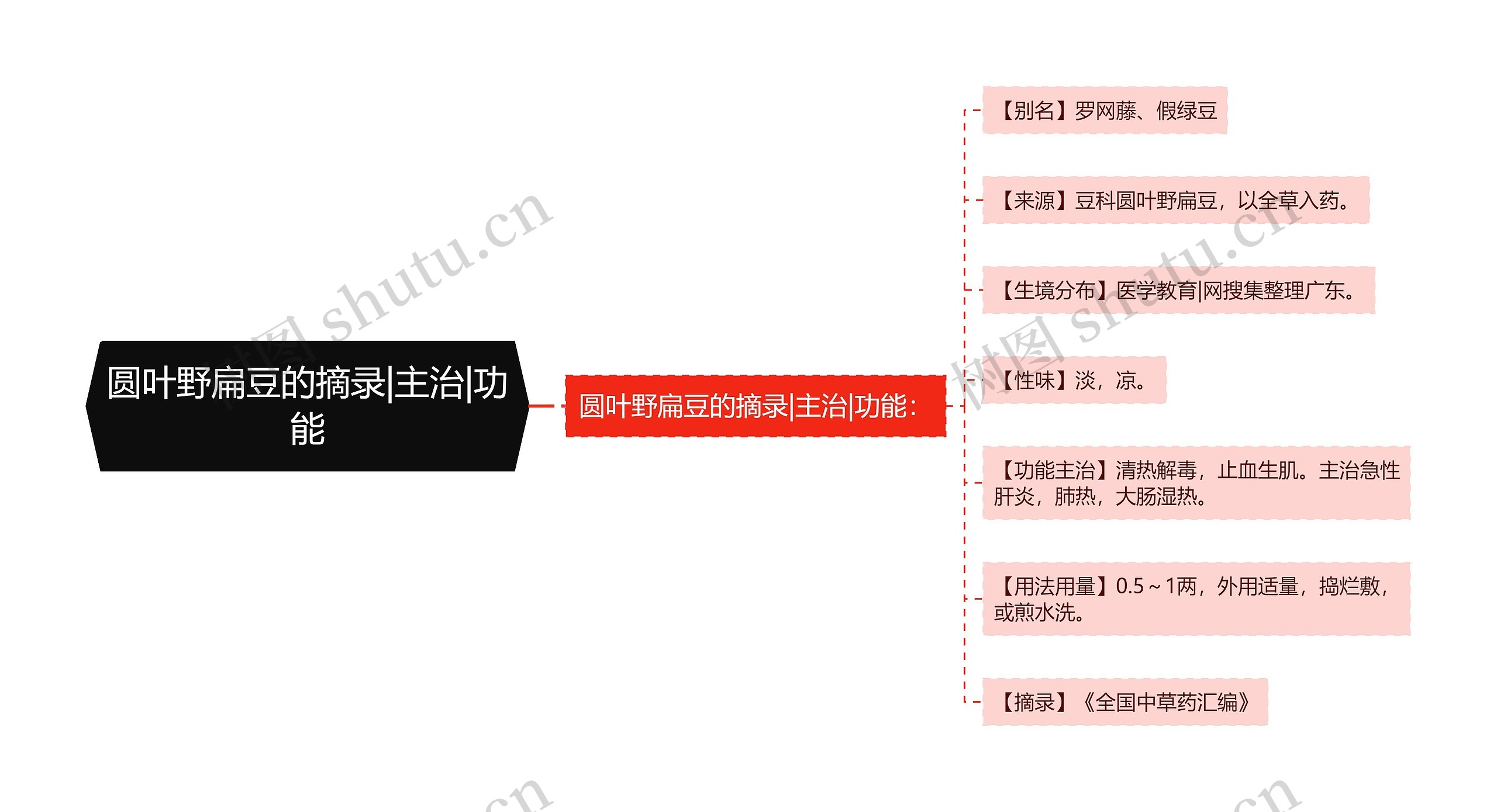 圆叶野扁豆的摘录|主治|功能思维导图