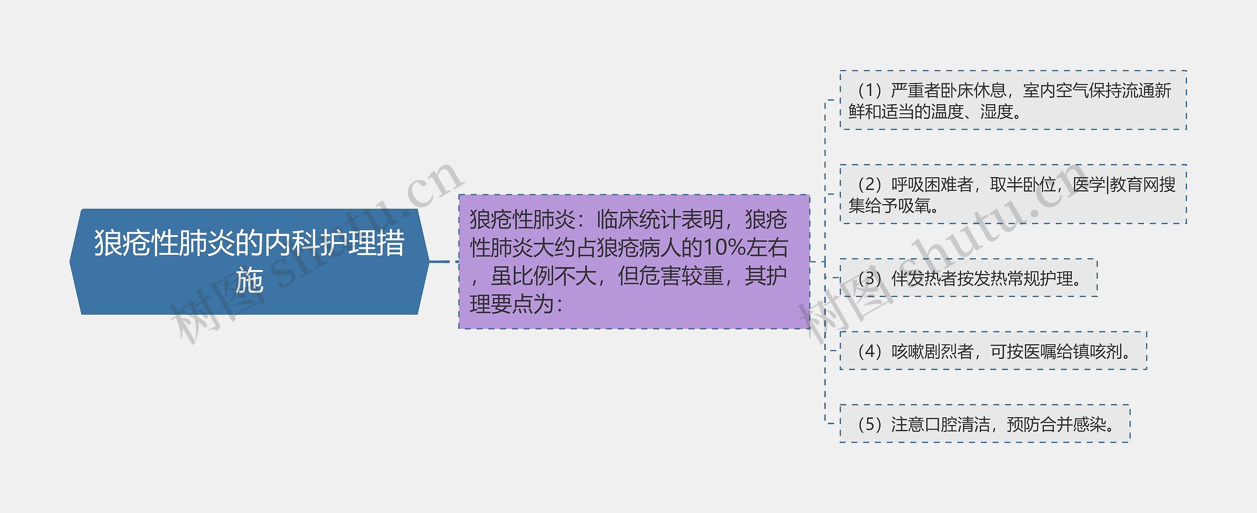 狼疮性肺炎的内科护理措施思维导图