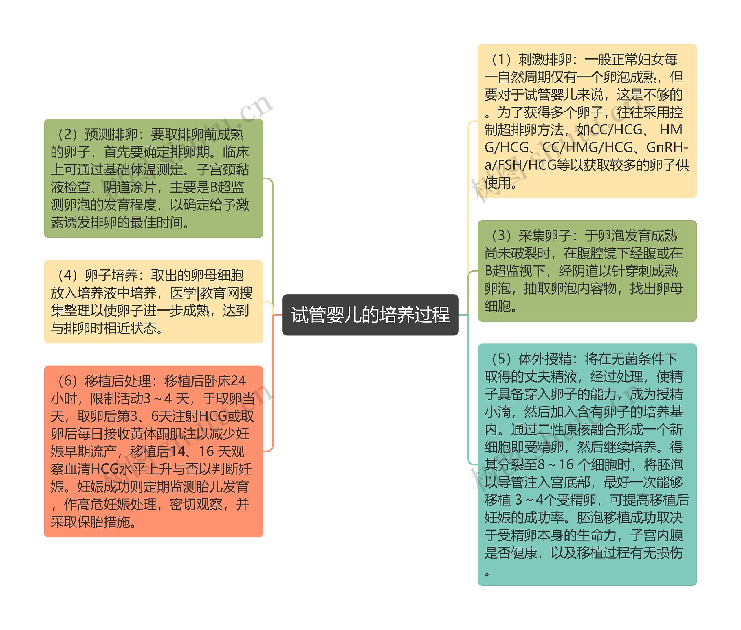 试管婴儿的培养过程思维导图