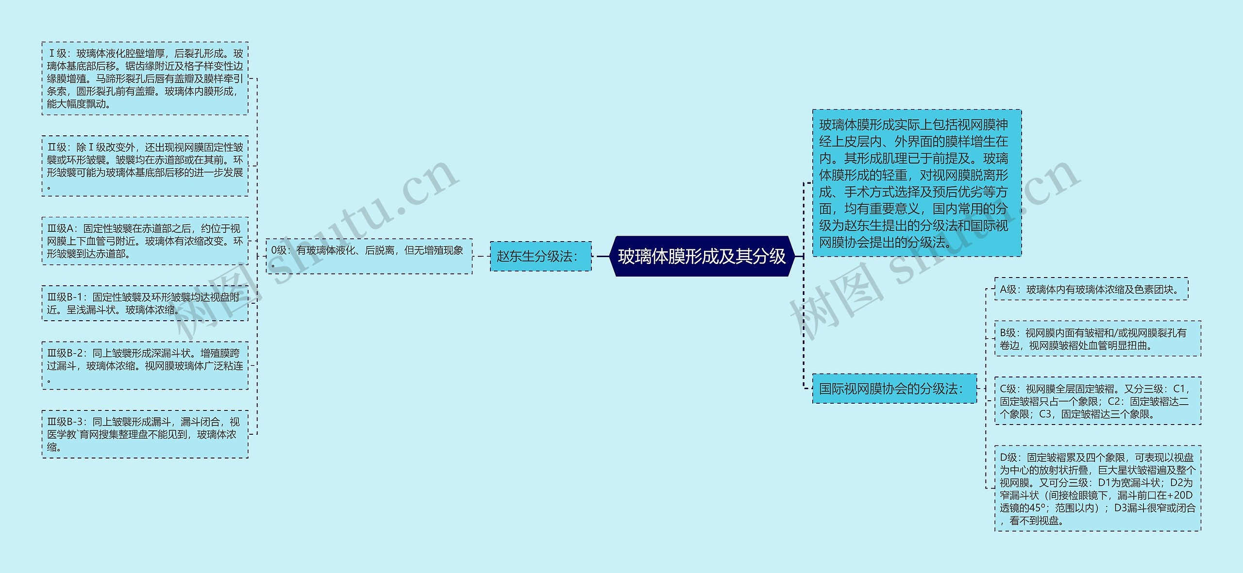 玻璃体膜形成及其分级思维导图