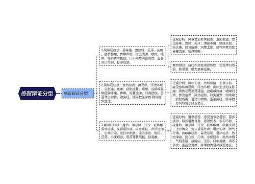 感冒辩证分型