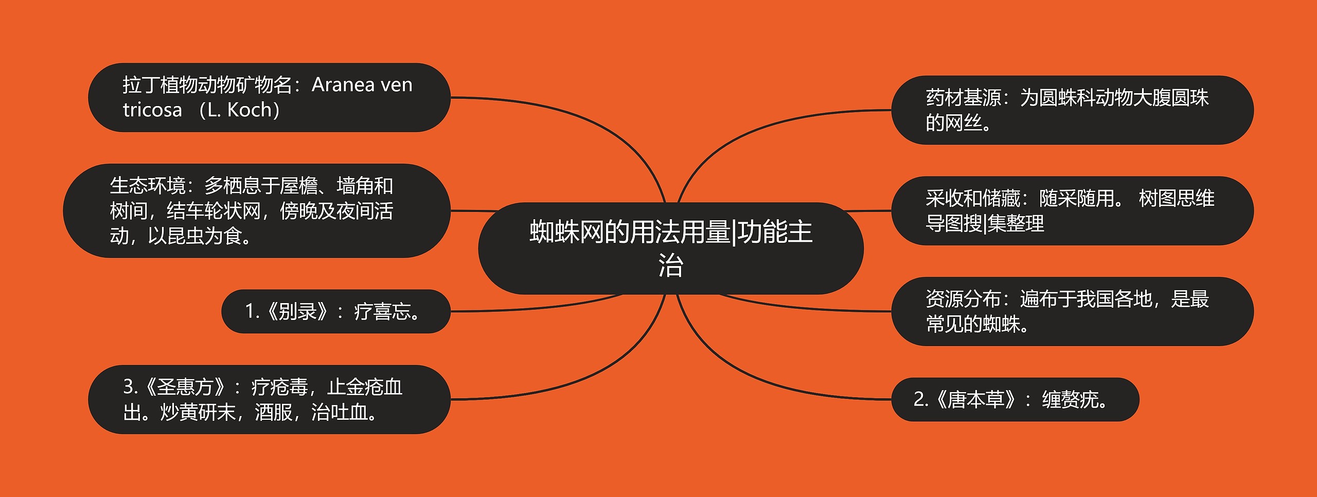 蜘蛛网的用法用量|功能主治 蜘蛛网的用法用量|功能主治