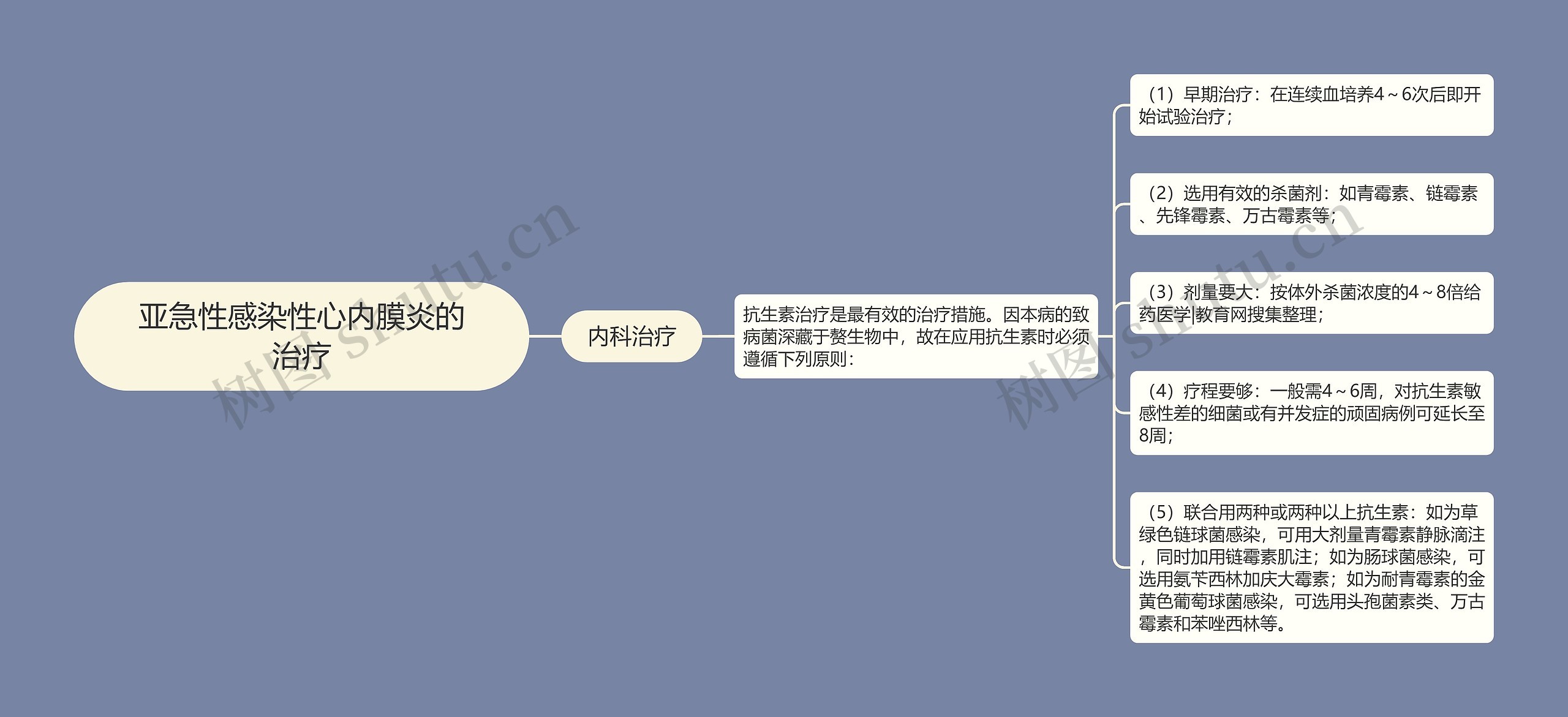 亚急性感染性心内膜炎的治疗思维导图