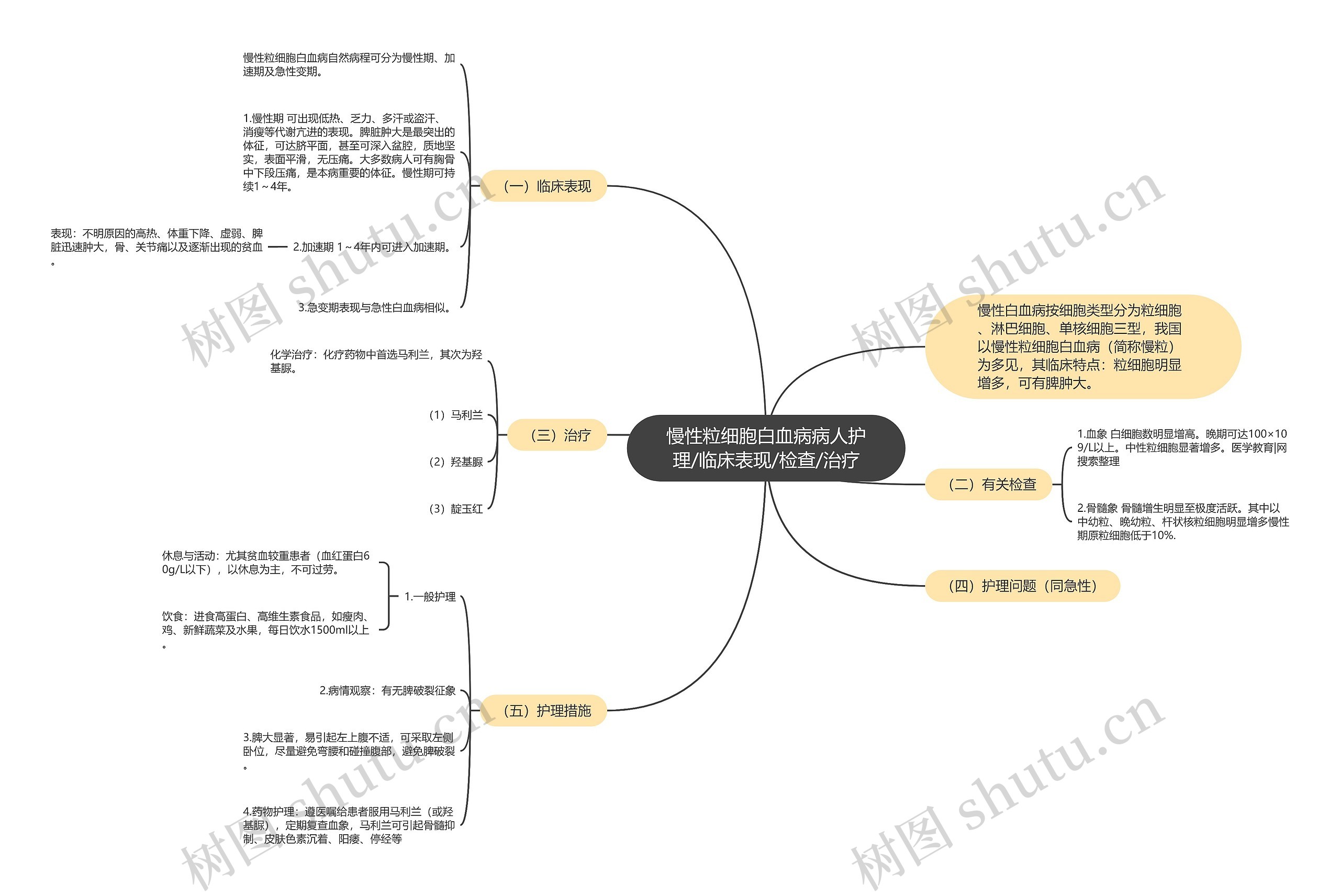 慢性粒细胞白血病病人护理/临床表现/检查/治疗思维导图