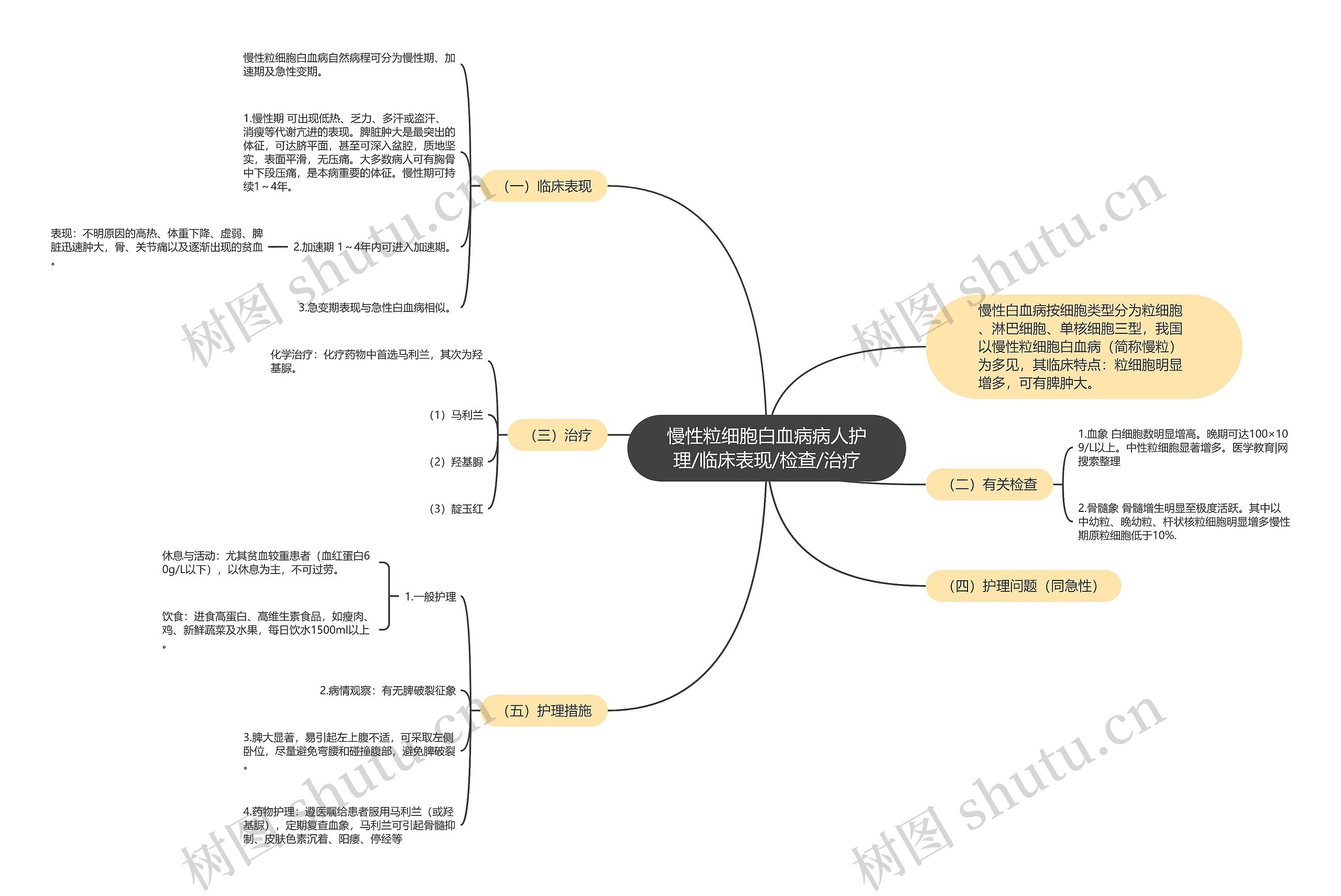 慢性粒细胞白血病病人护理/临床表现/检查/治疗 慢性粒细胞白血病病人护理/临床表现/检查/治疗