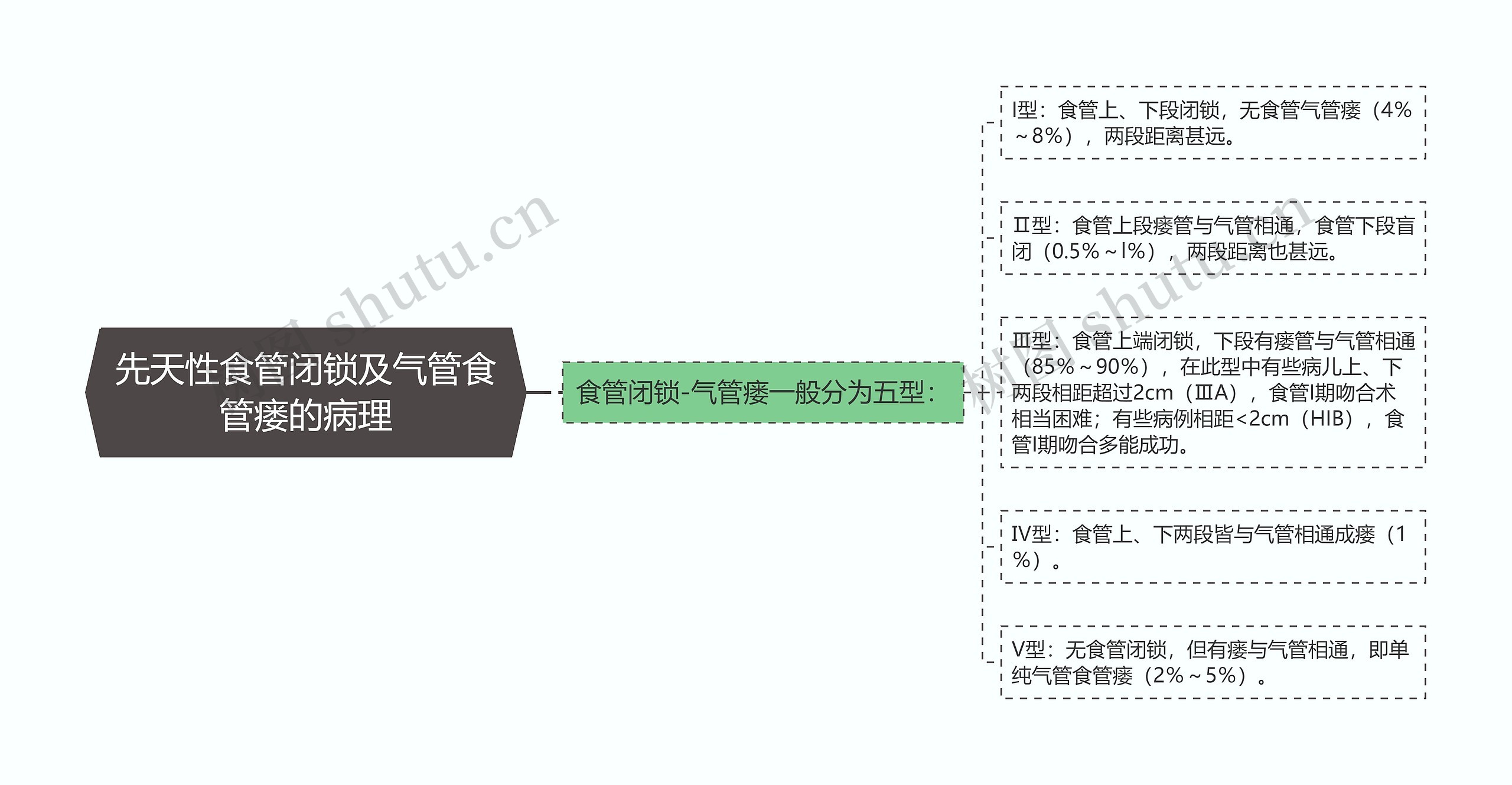 先天性食管闭锁及气管食管瘘的病理