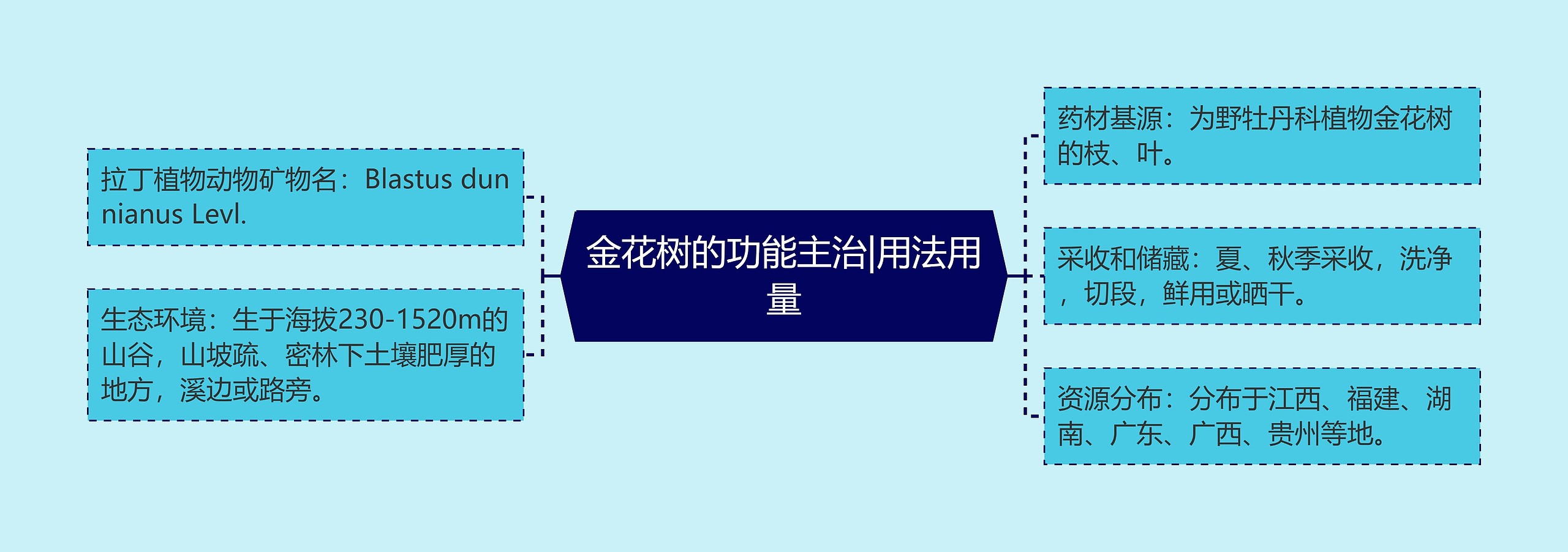 金花树的功能主治|用法用量 金花树的功能主治|用法用量