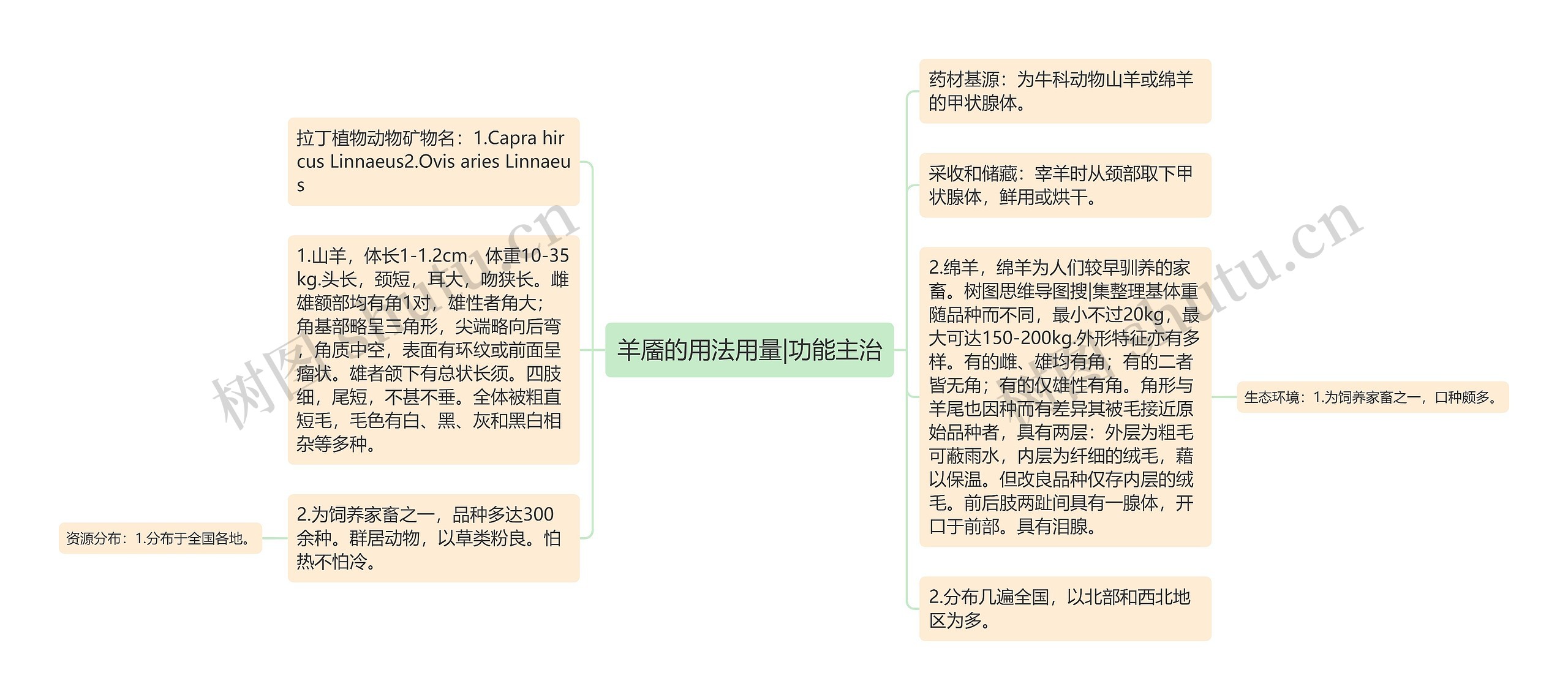 羊靥的用法用量|功能主治思维导图