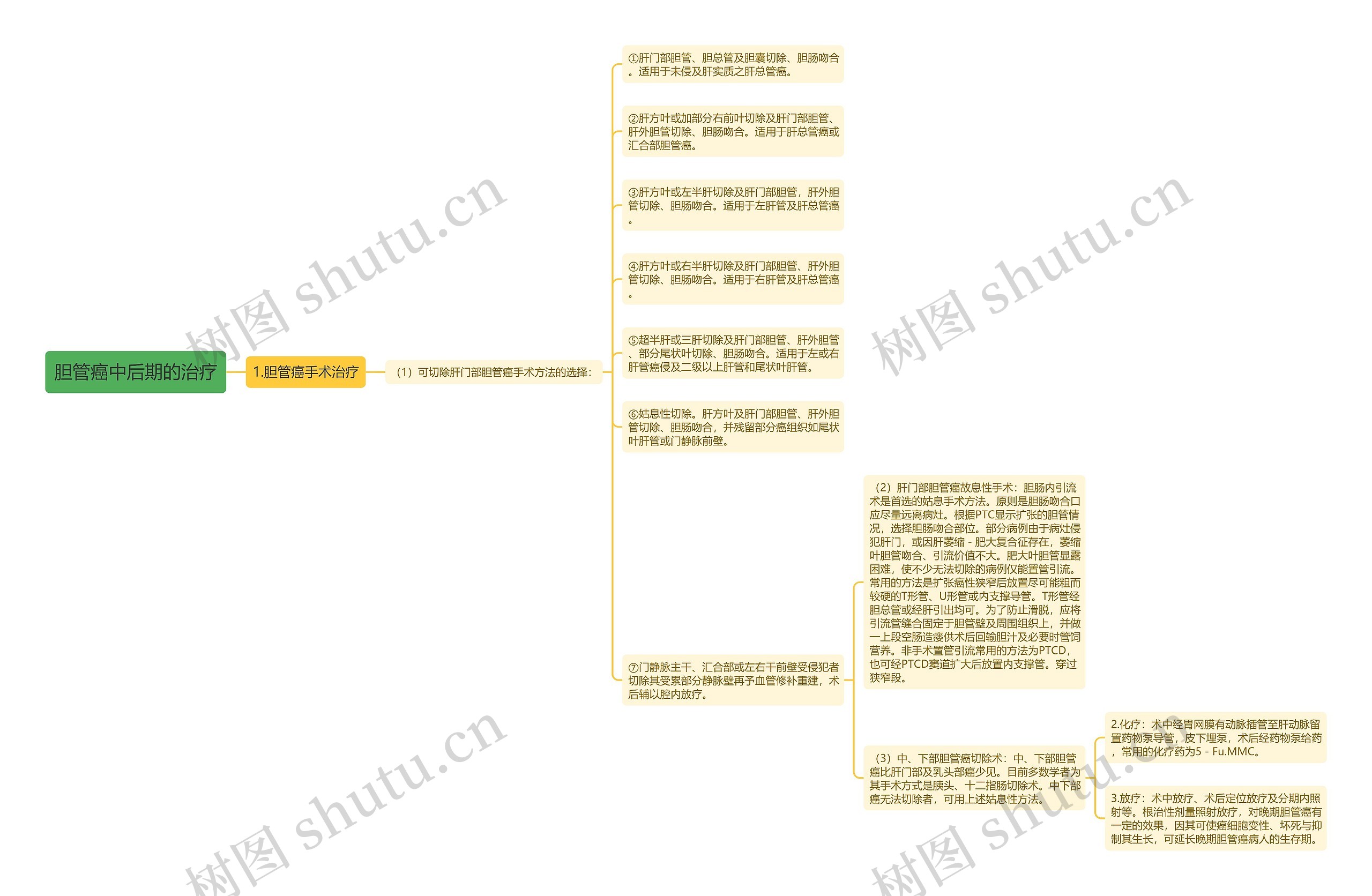 胆管癌中后期的治疗思维导图