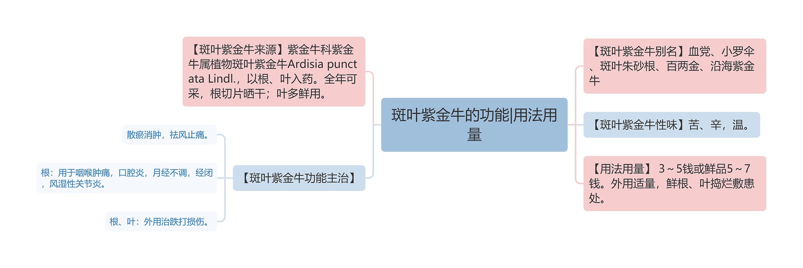 斑叶紫金牛的功能|用法用量思维导图