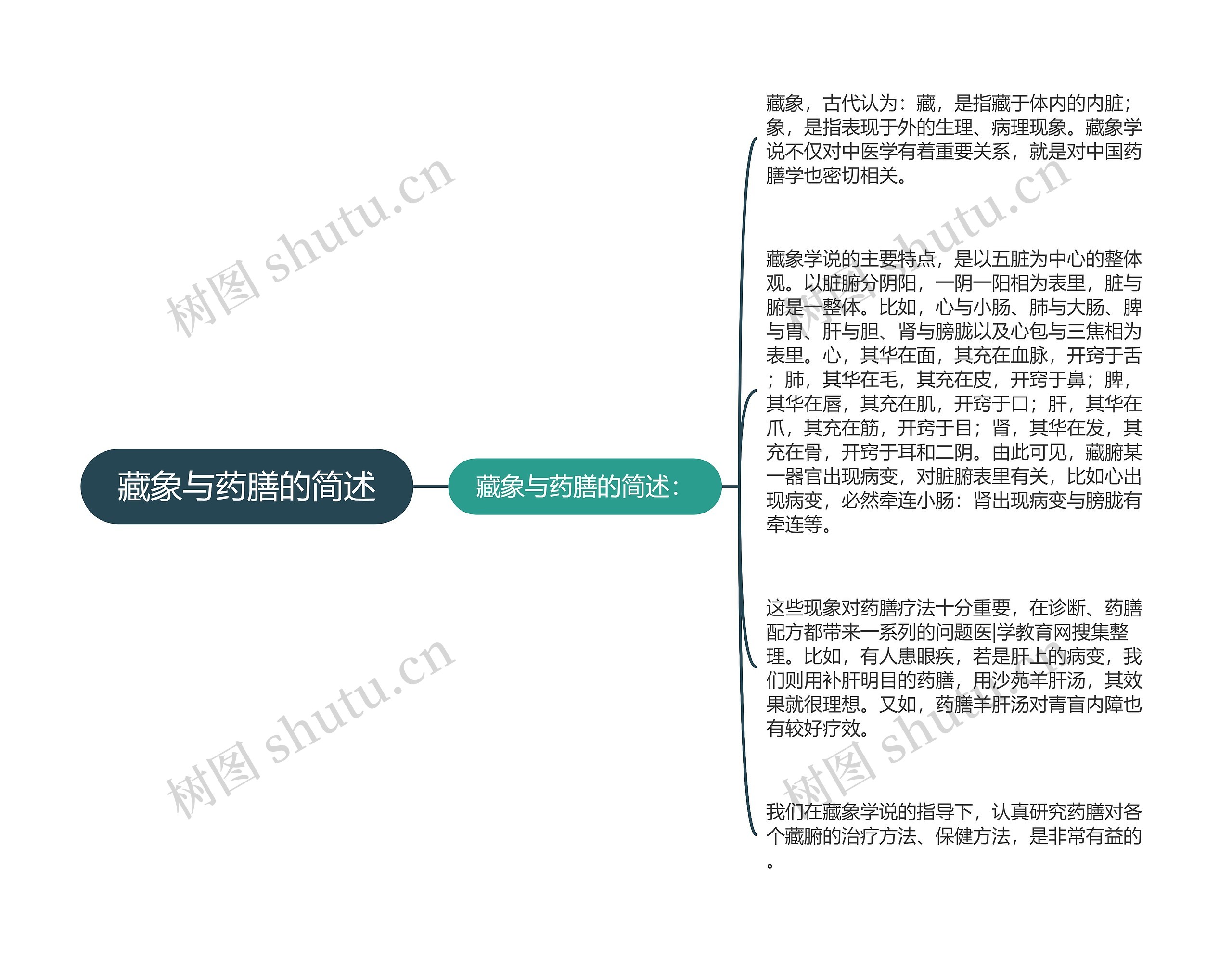 藏象与药膳的简述