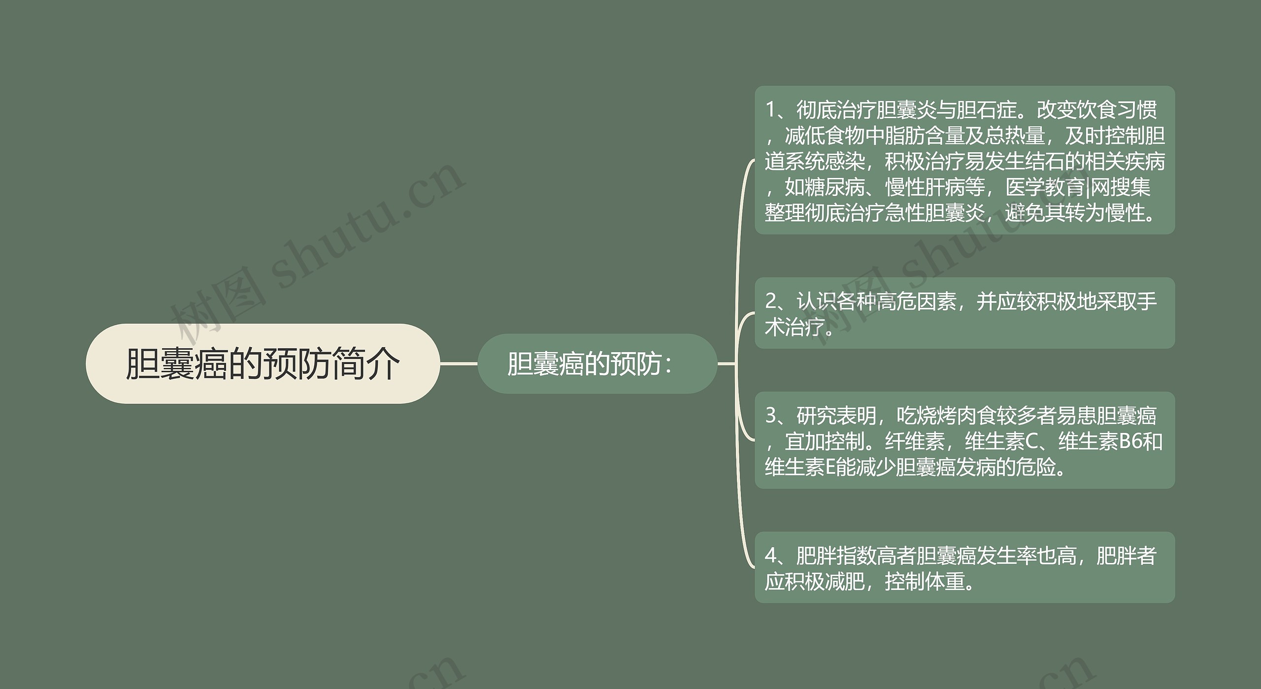 胆囊癌的预防简介思维导图