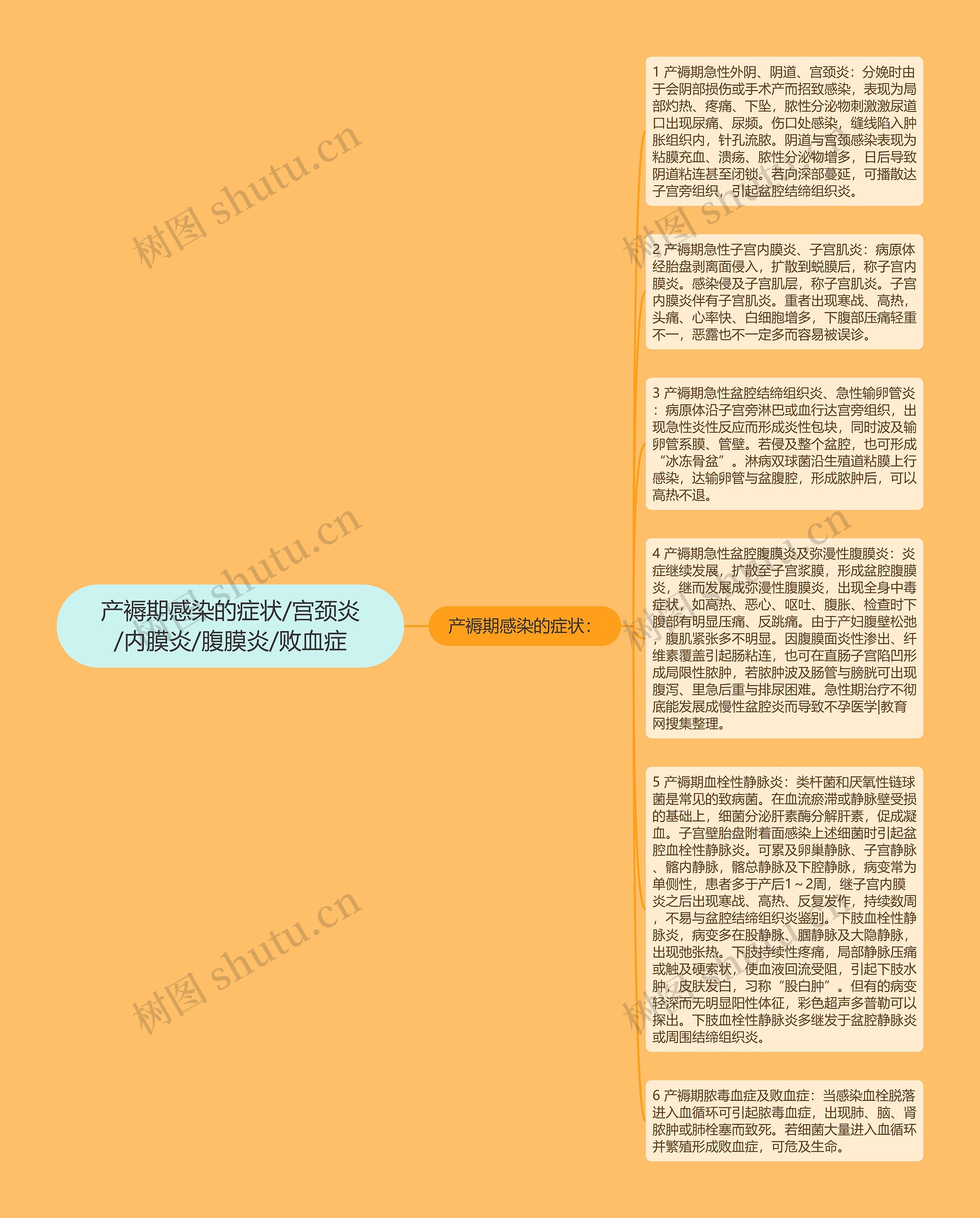 产褥期感染的症状/宫颈炎/内膜炎/腹膜炎/败血症
