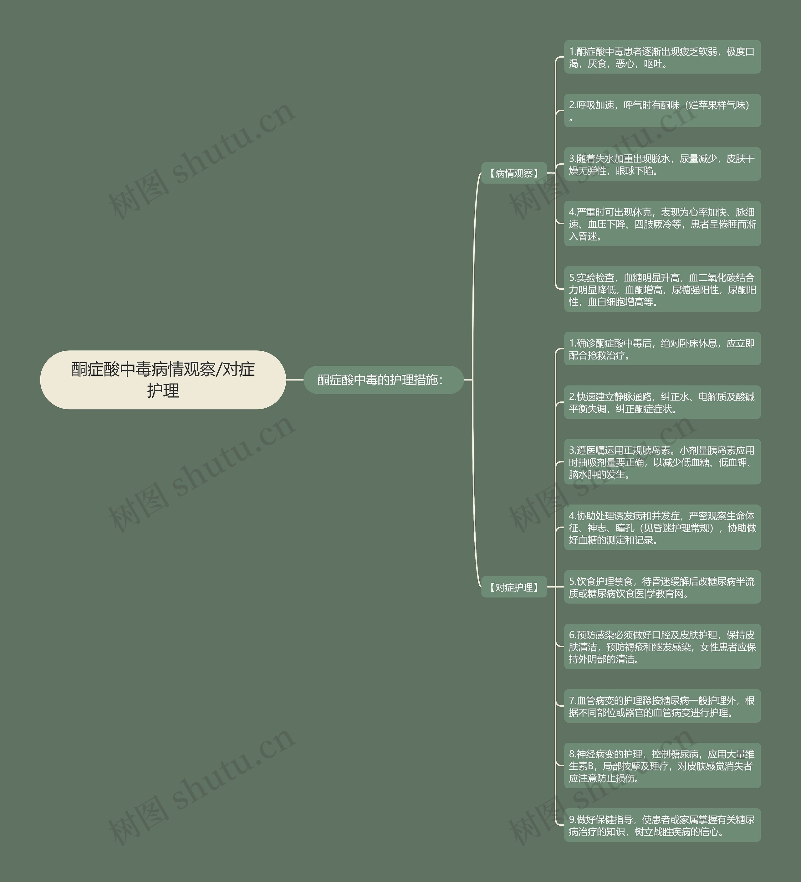 酮症酸中毒病情观察/对症护理思维导图