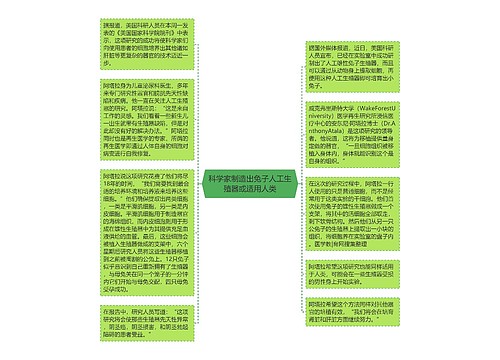 科学家制造出兔子人工生殖器或适用人类