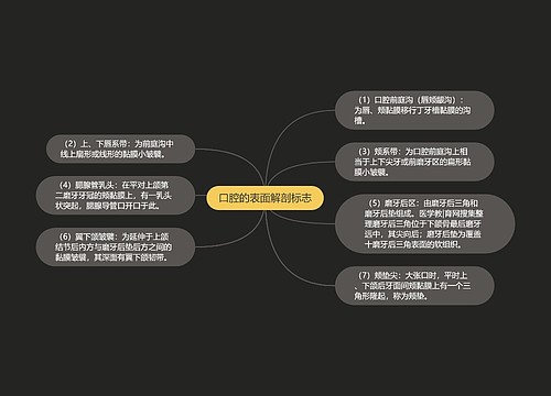 口腔的表面解剖标志