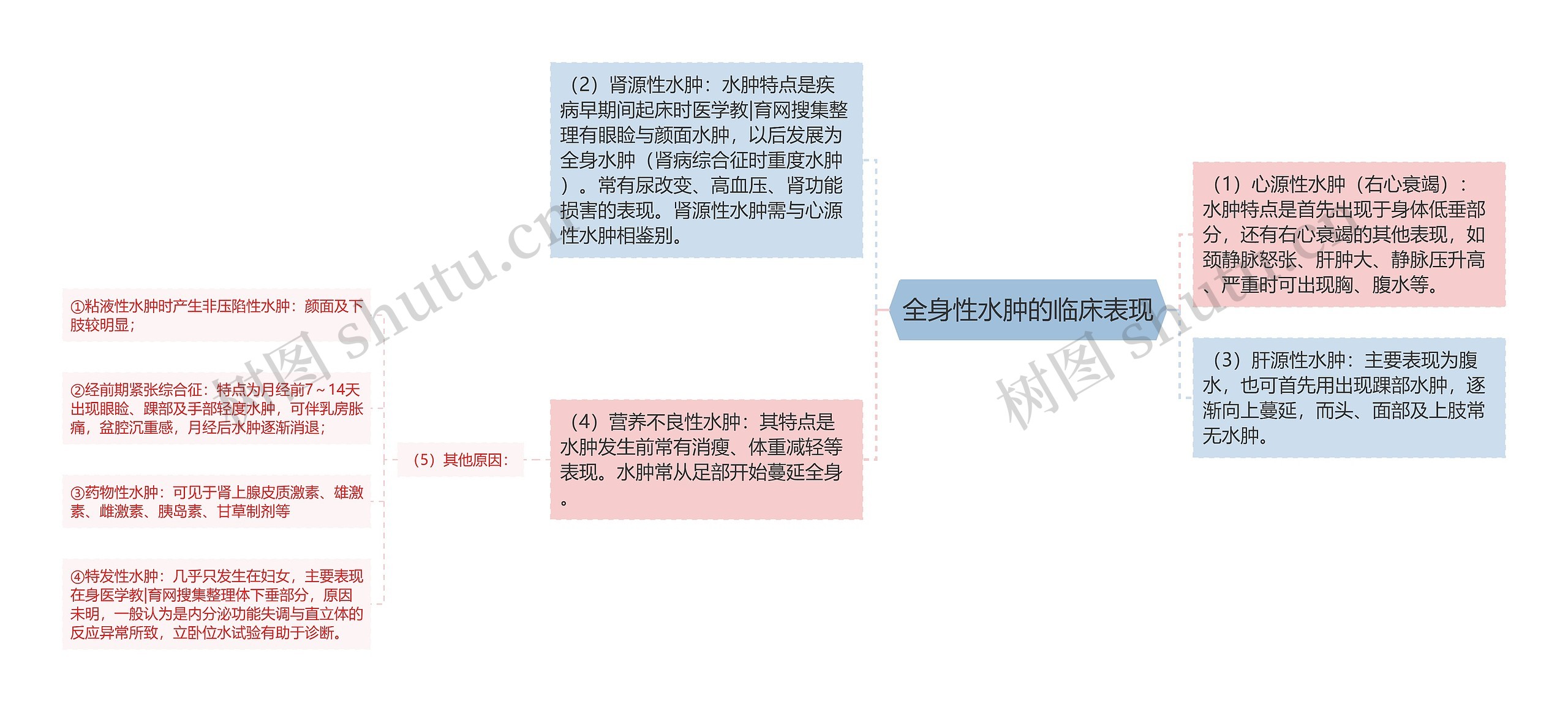 全身性水肿的临床表现