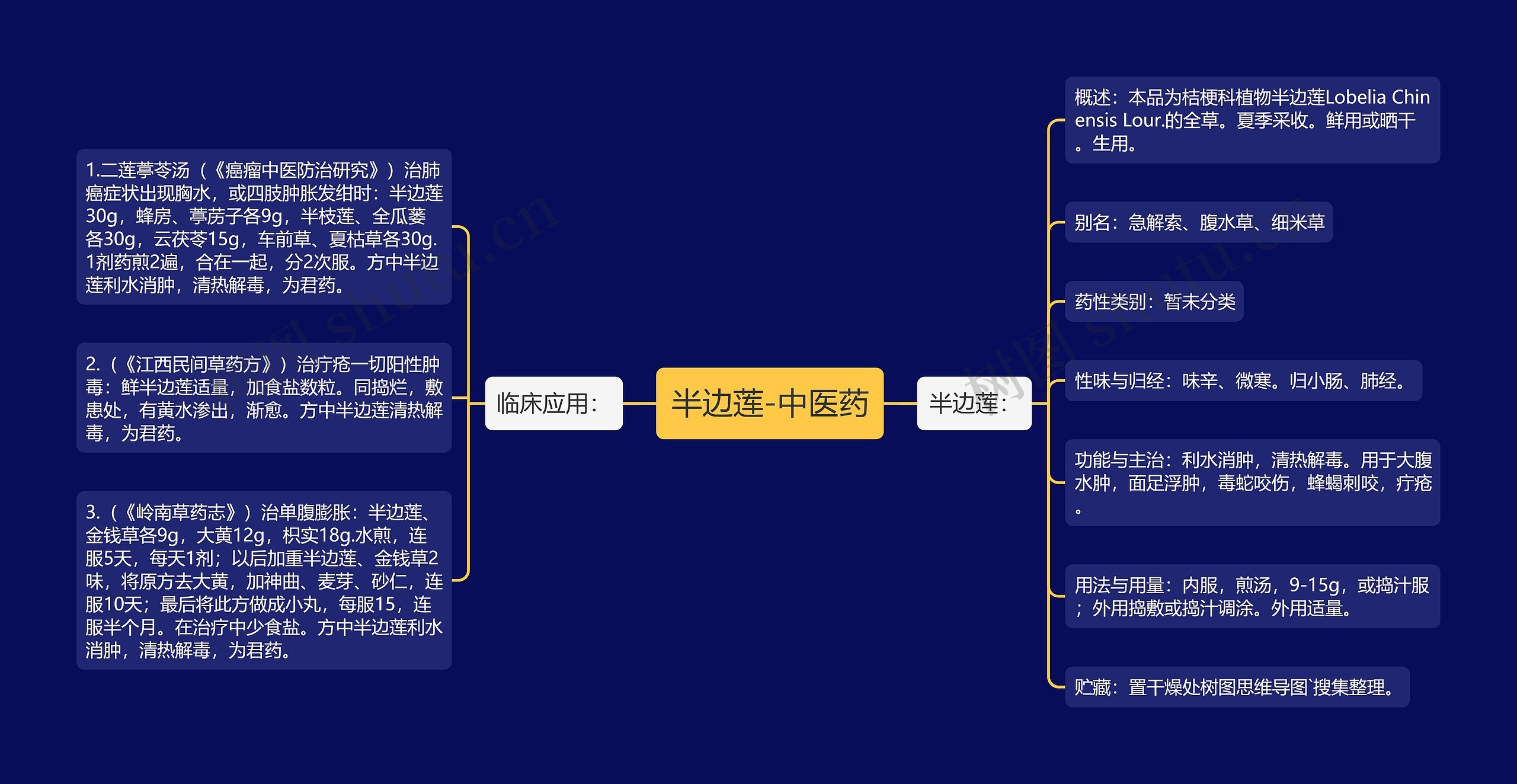 半边莲-中医药思维导图